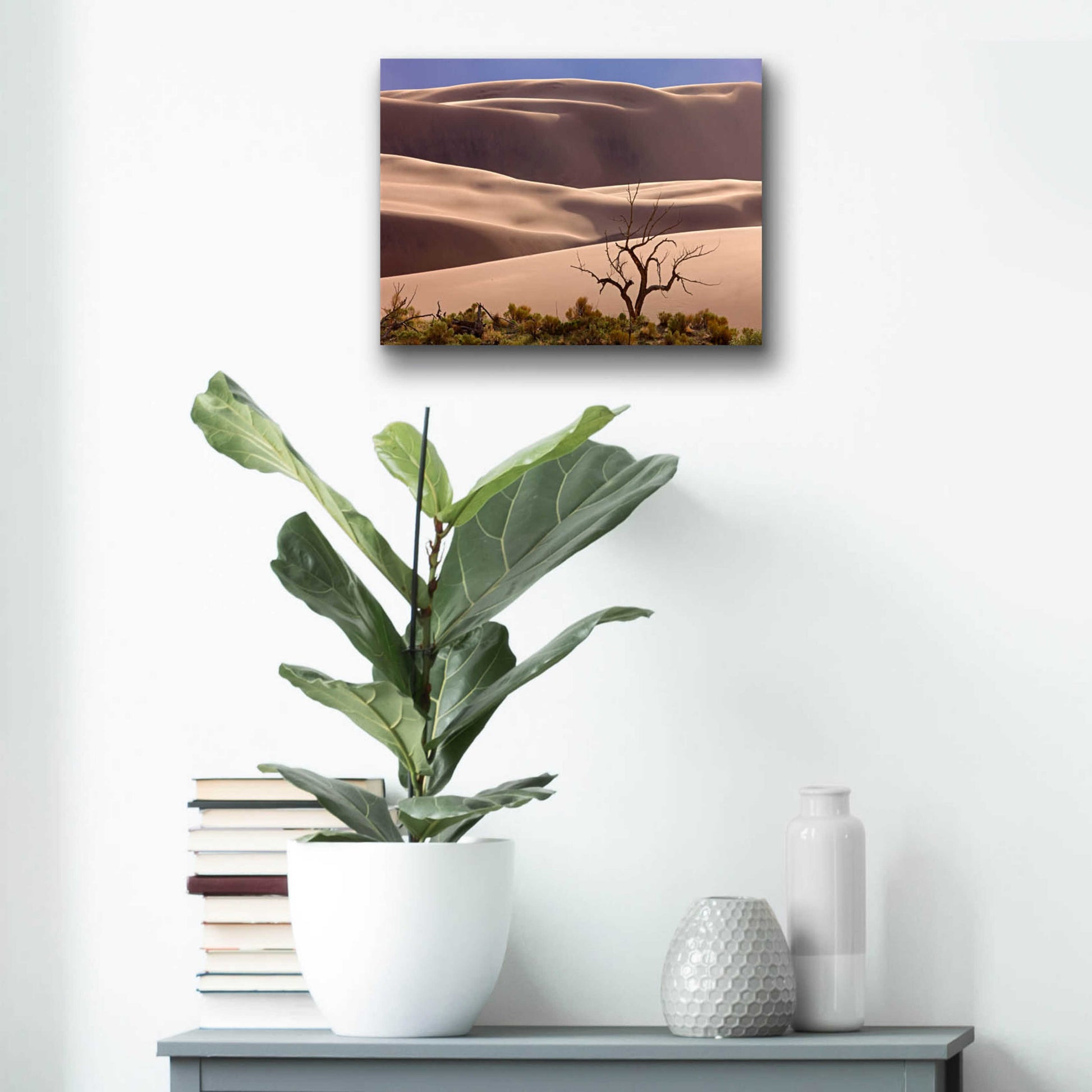 Epic Art 'Great Sand Dunes NP Tree' by Mike Jones, Acrylic Glass Wall Art,16x12