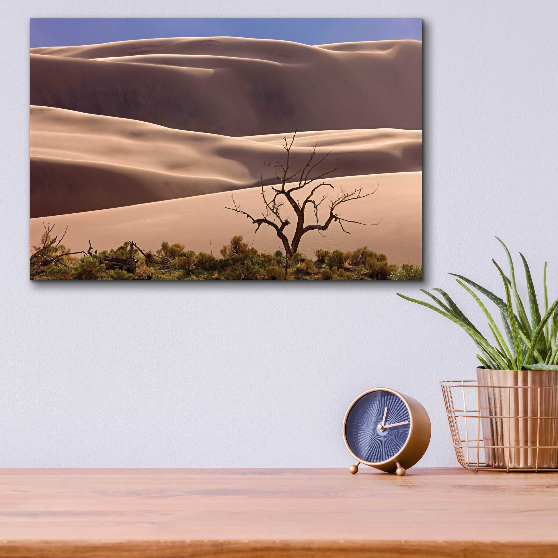 Epic Art 'Great Sand Dunes NP Tree' by Mike Jones, Acrylic Glass Wall Art,16x12