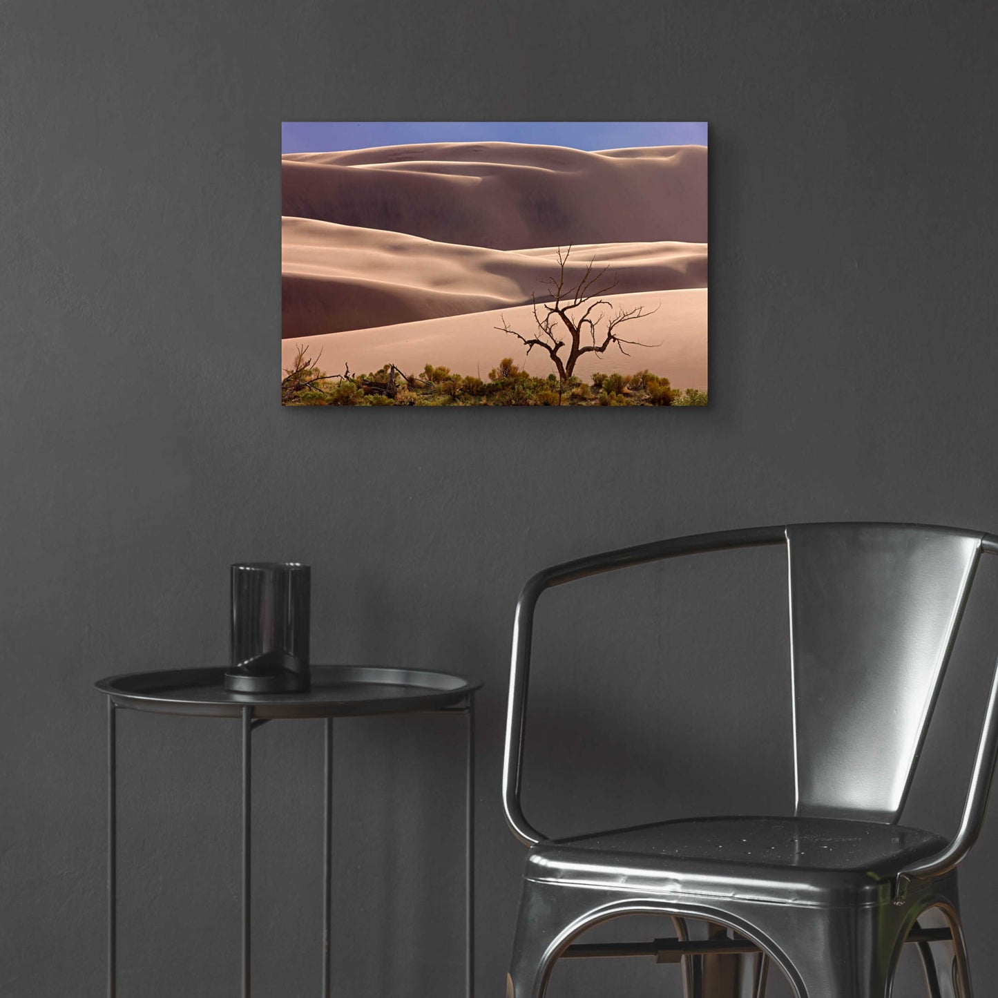 Epic Art 'Great Sand Dunes NP Tree' by Mike Jones, Acrylic Glass Wall Art,24x16