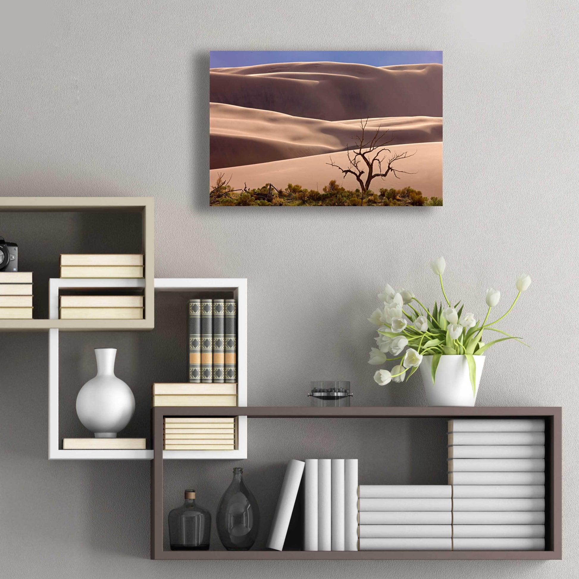 Epic Art 'Great Sand Dunes NP Tree' by Mike Jones, Acrylic Glass Wall Art,24x16