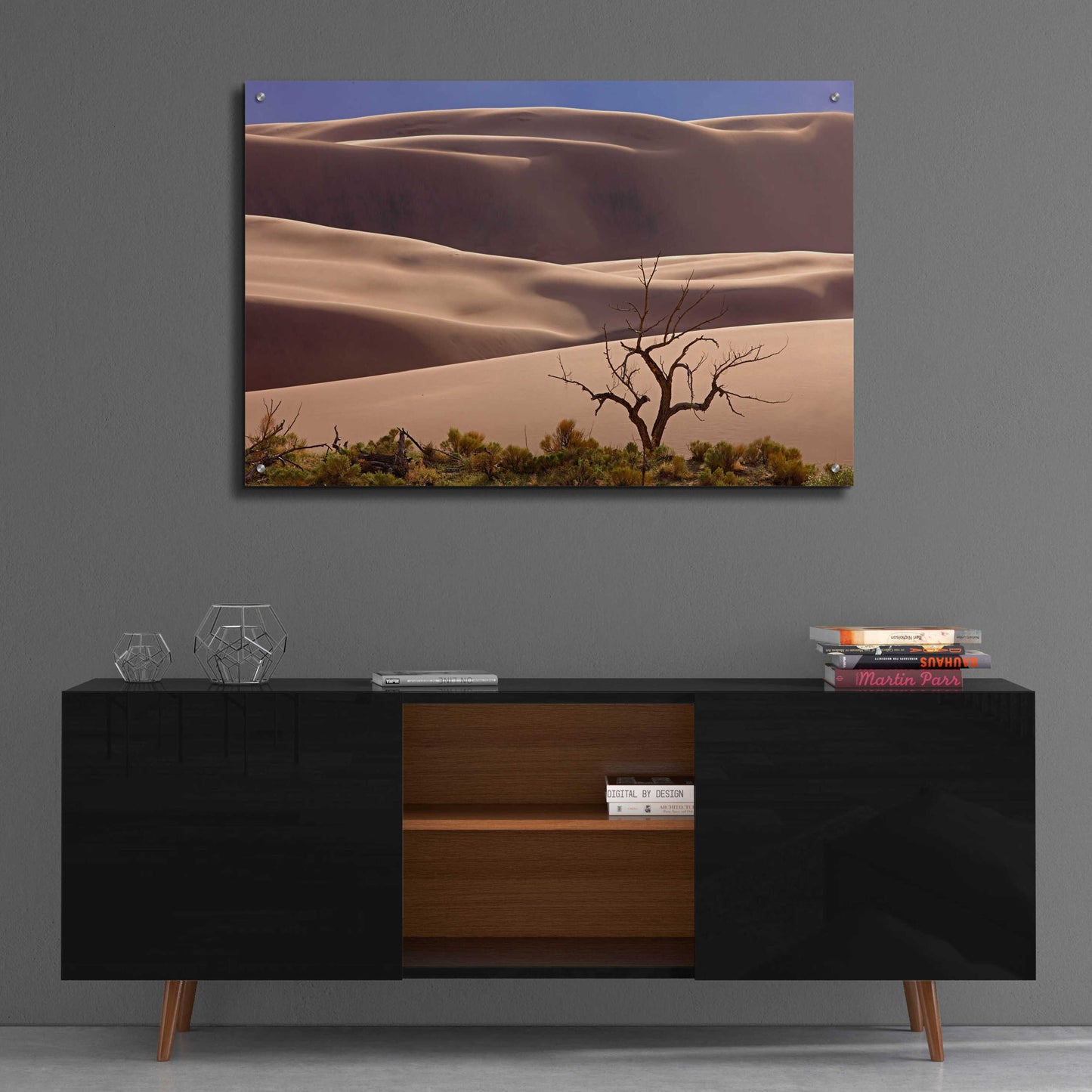 Epic Art 'Great Sand Dunes NP Tree' by Mike Jones, Acrylic Glass Wall Art,36x24