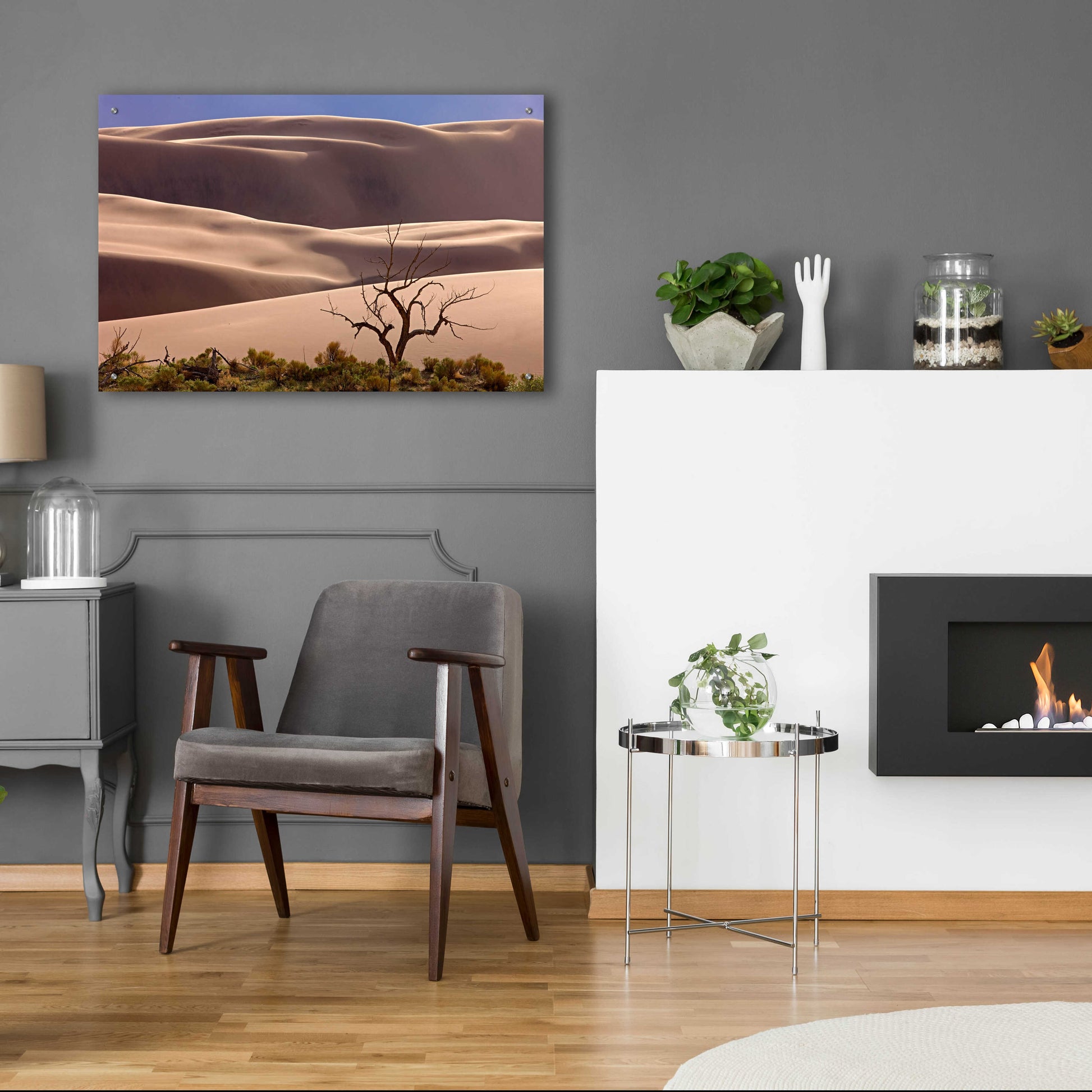 Epic Art 'Great Sand Dunes NP Tree' by Mike Jones, Acrylic Glass Wall Art,36x24