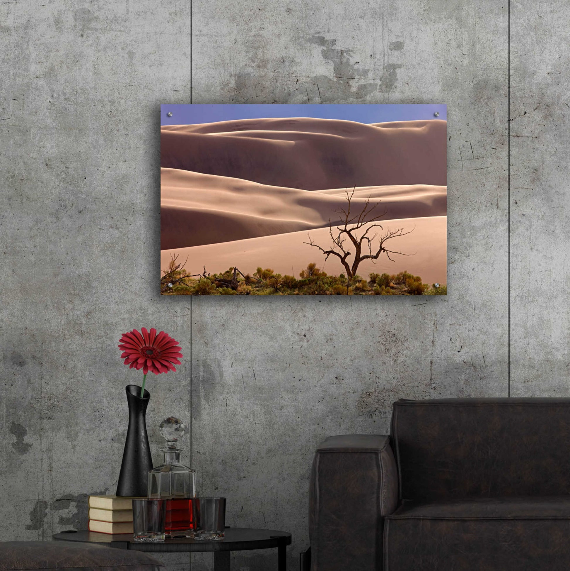 Epic Art 'Great Sand Dunes NP Tree' by Mike Jones, Acrylic Glass Wall Art,36x24