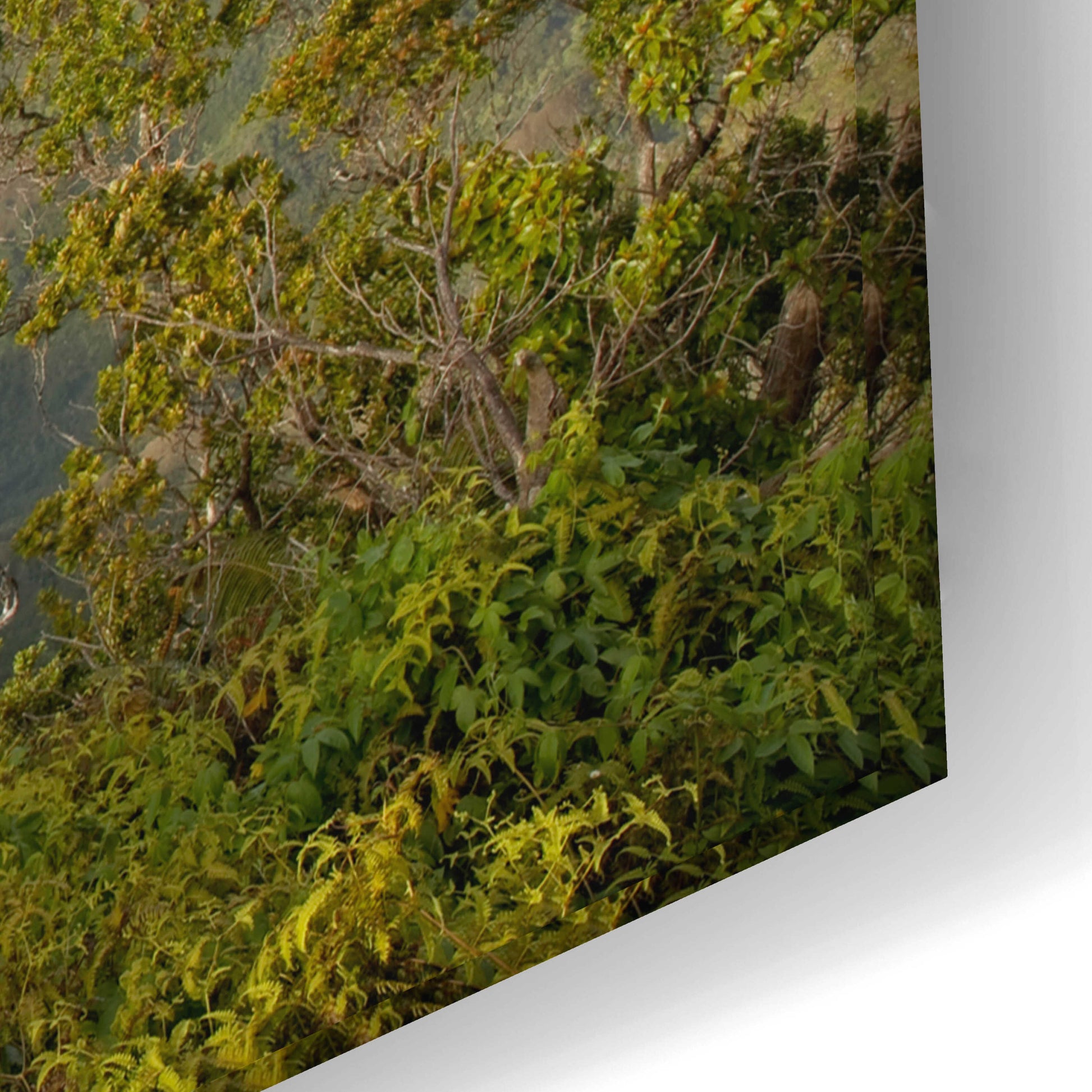 Epic Art 'Kauai Kalalou Canyon' by Mike Jones, Acrylic Glass Wall Art,24x16