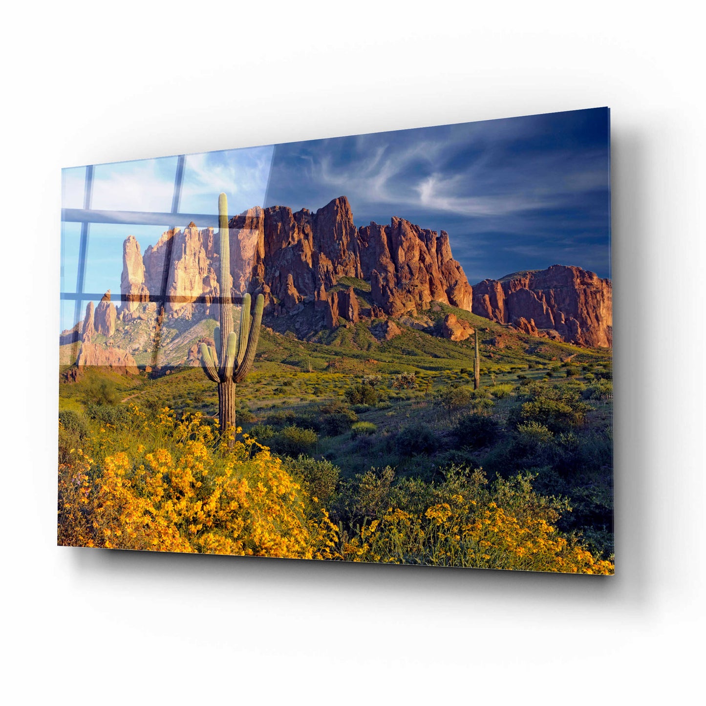 Epic Art 'Lost Dutchman flowers' by Mike Jones, Acrylic Glass Wall Art,16x12