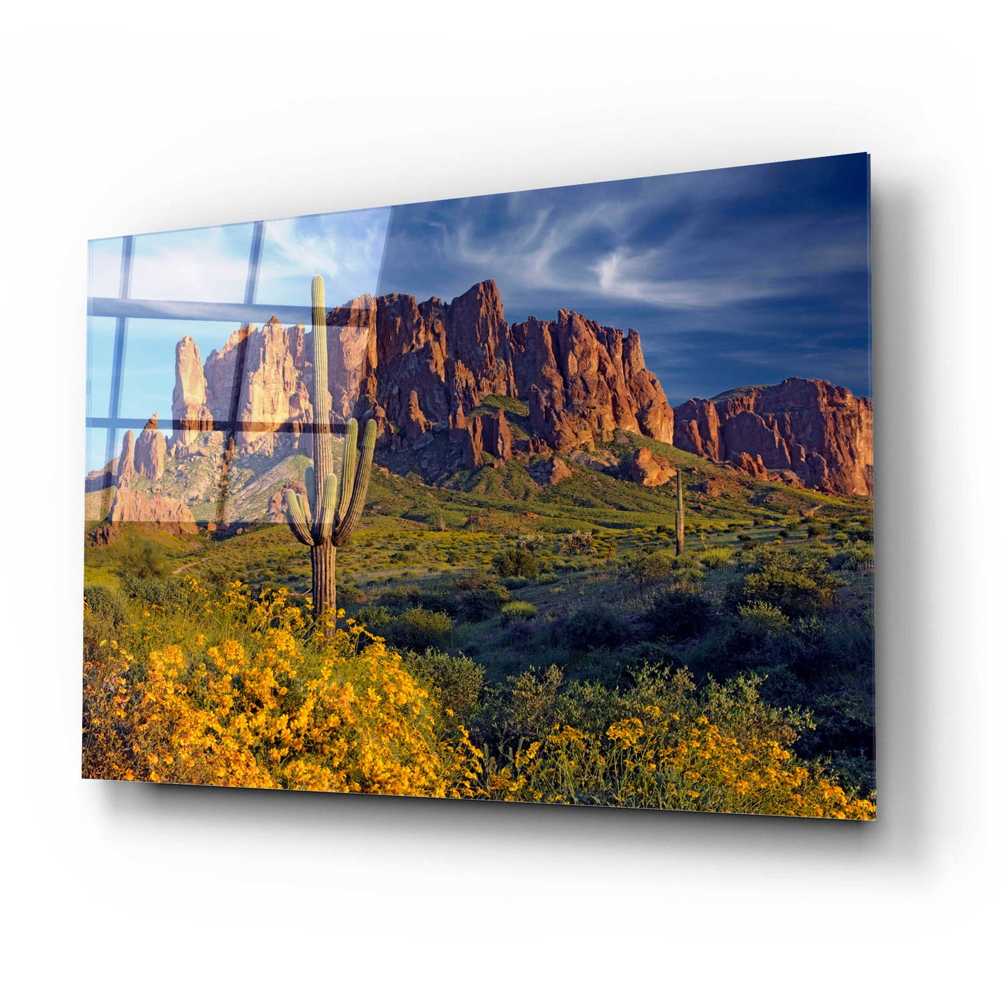 Epic Art 'Lost Dutchman flowers' by Mike Jones, Acrylic Glass Wall Art,24x16