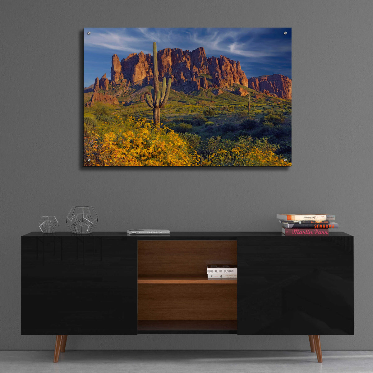 Epic Art 'Lost Dutchman flowers' by Mike Jones, Acrylic Glass Wall Art,36x24