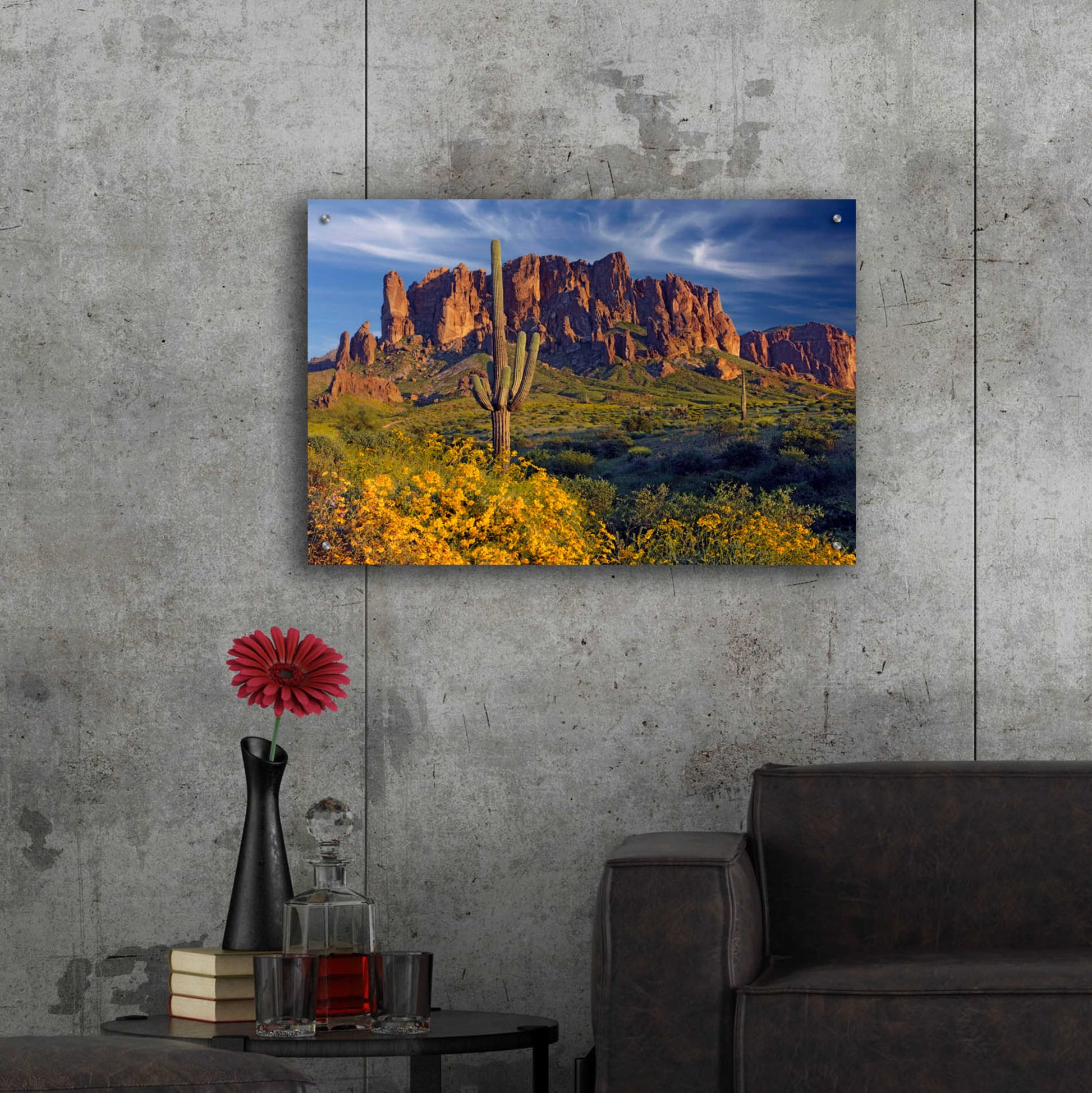 Epic Art 'Lost Dutchman flowers' by Mike Jones, Acrylic Glass Wall Art,36x24