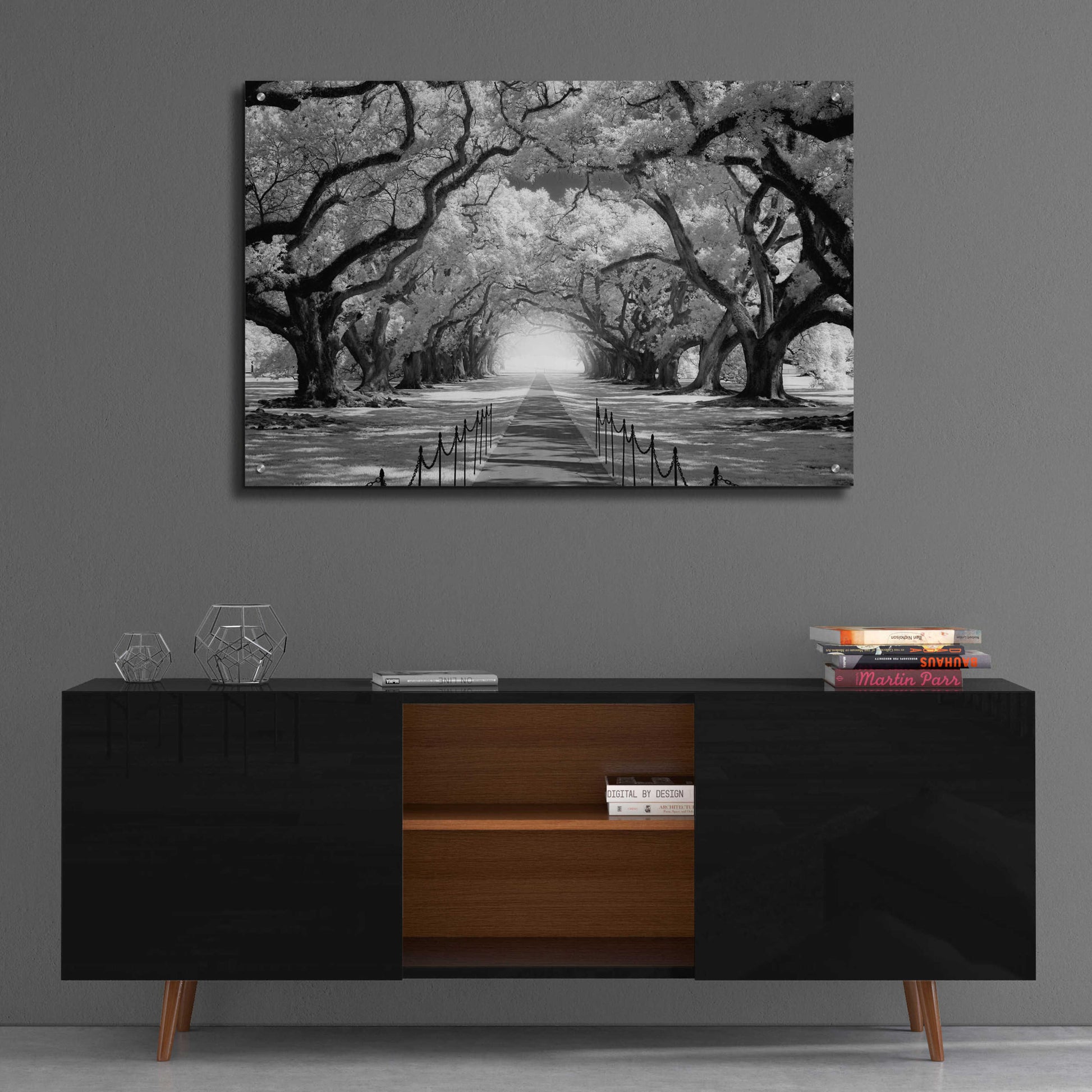 Epic Art 'Oak Alley inf CHECK' by Mike Jones, Acrylic Glass Wall Art,36x24