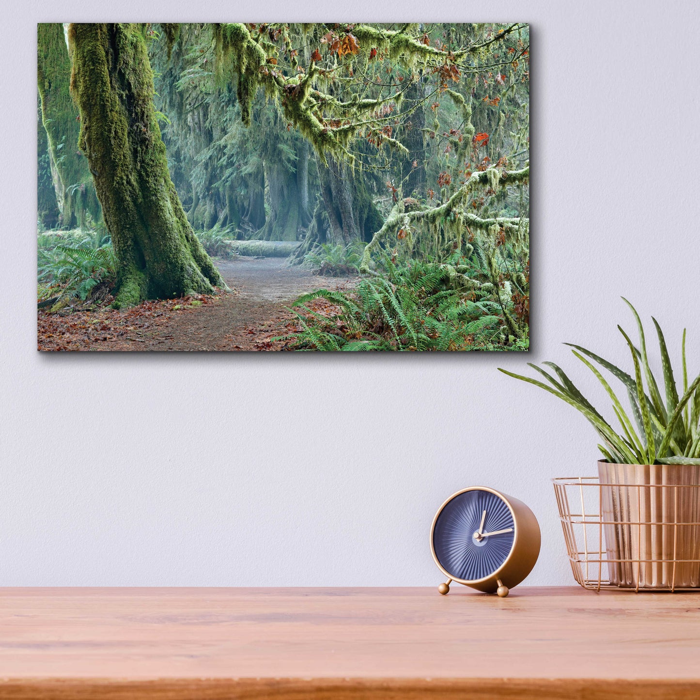 Epic Art 'Olympic NP Trail' by Mike Jones, Acrylic Glass Wall Art,16x12