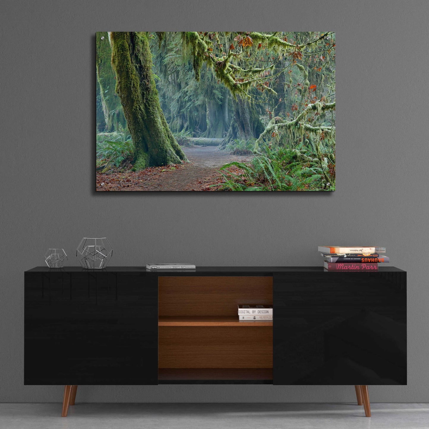 Epic Art 'Olympic NP Trail' by Mike Jones, Acrylic Glass Wall Art,36x24