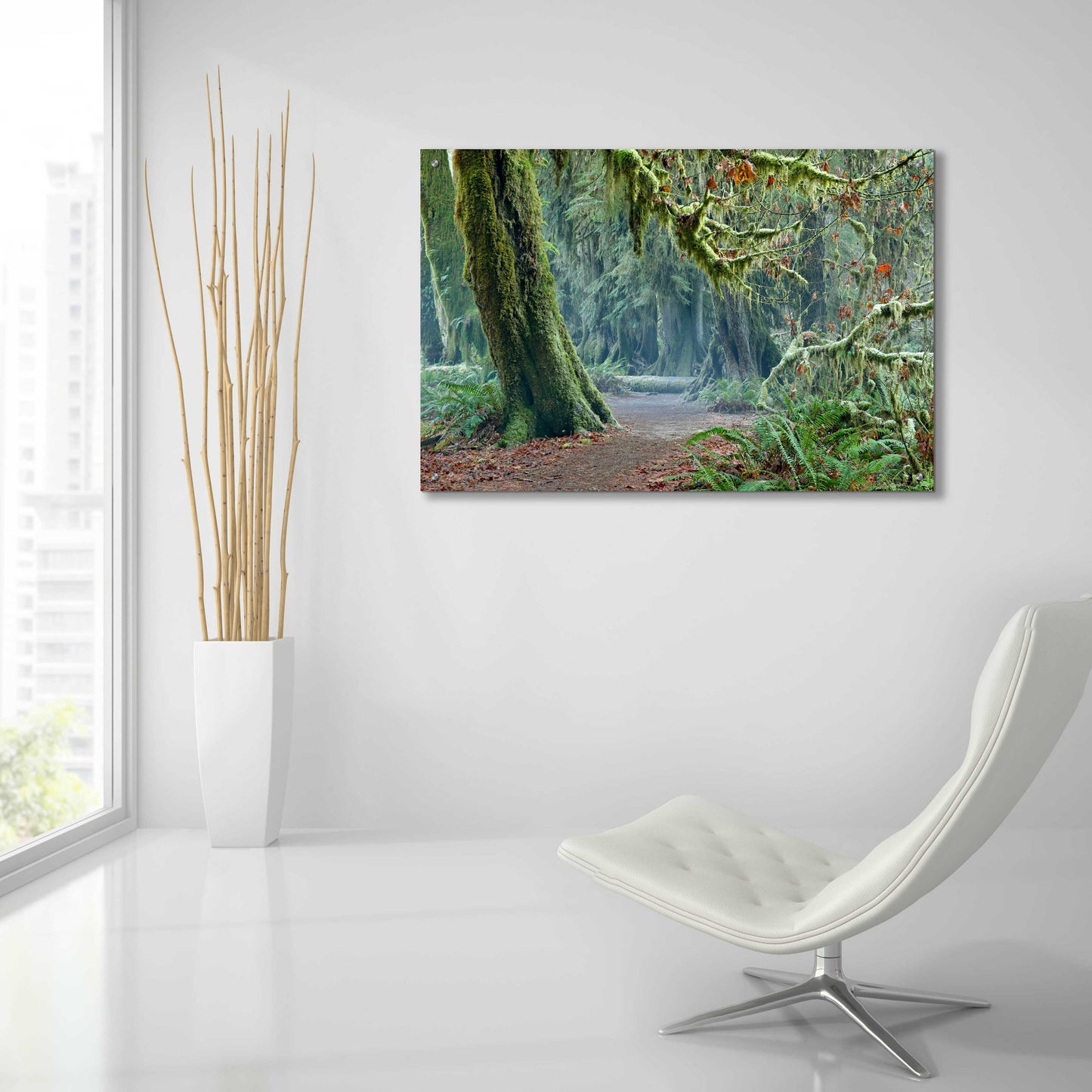 Epic Art 'Olympic NP Trail' by Mike Jones, Acrylic Glass Wall Art,36x24