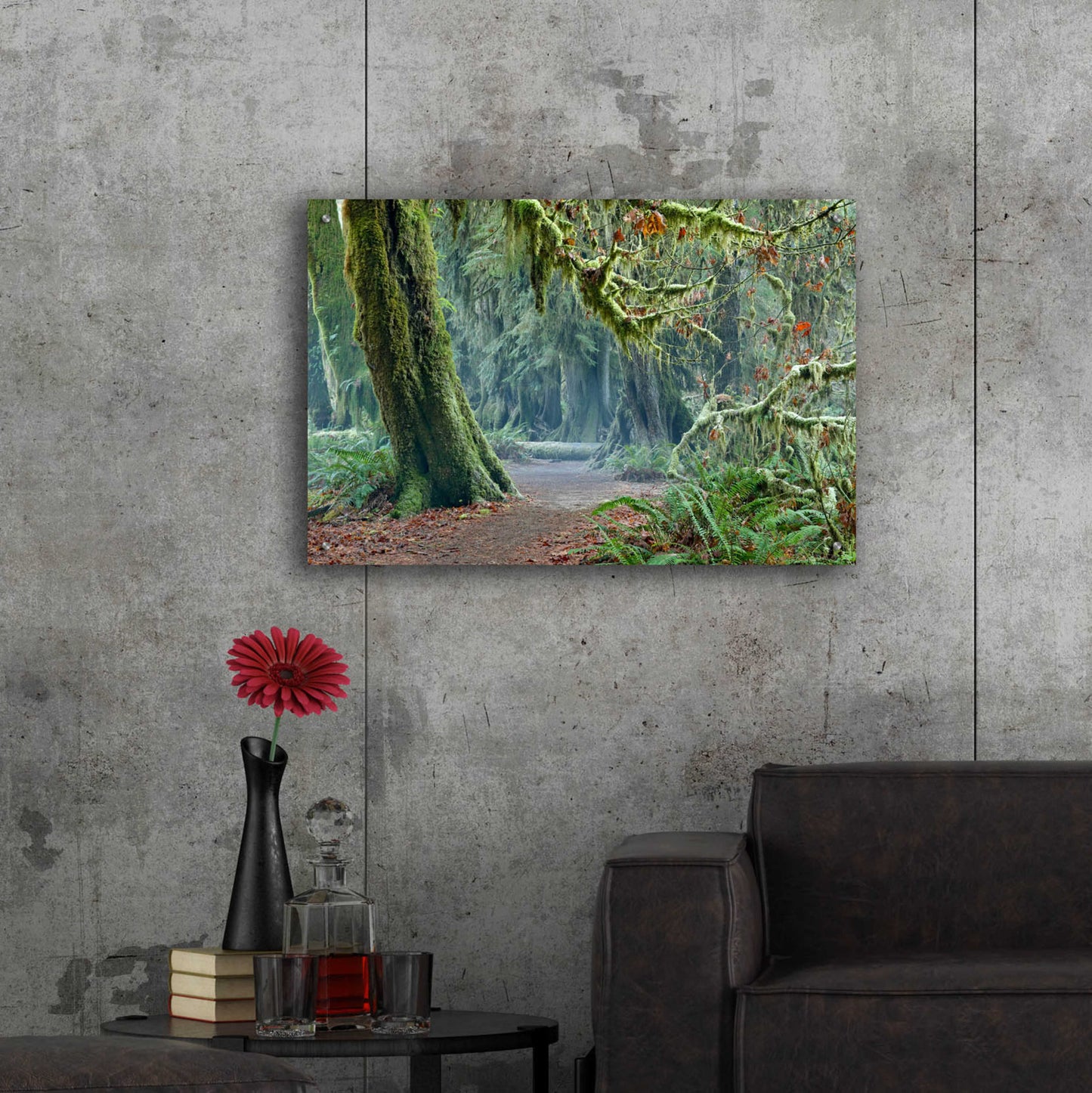 Epic Art 'Olympic NP Trail' by Mike Jones, Acrylic Glass Wall Art,36x24