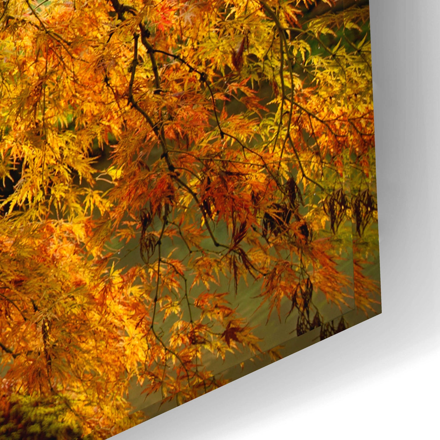 Epic Art 'Portland Japanese Garden' by Mike Jones, Acrylic Glass Wall Art,24x16