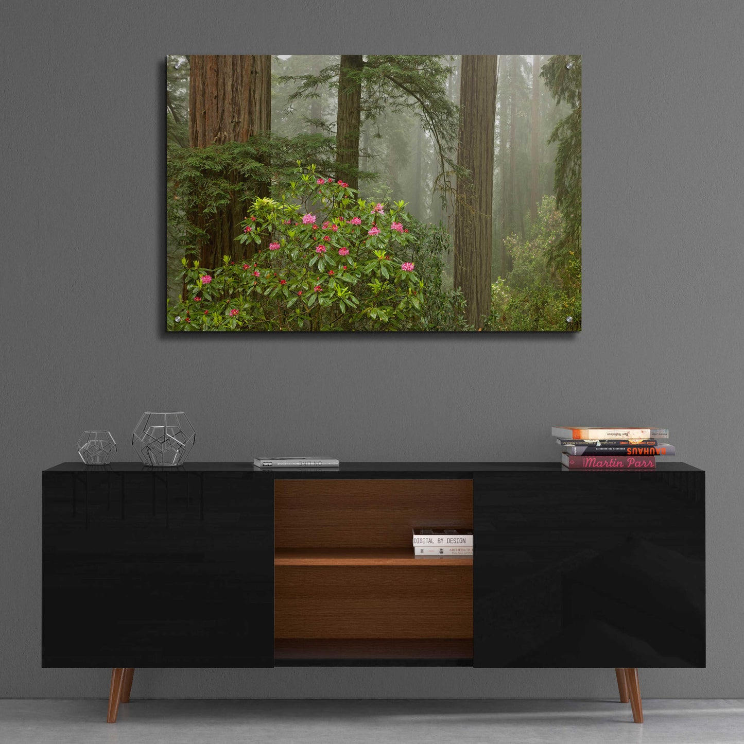 Epic Art 'Redwood Fog Rhododendrons' by Mike Jones, Acrylic Glass Wall Art,36x24