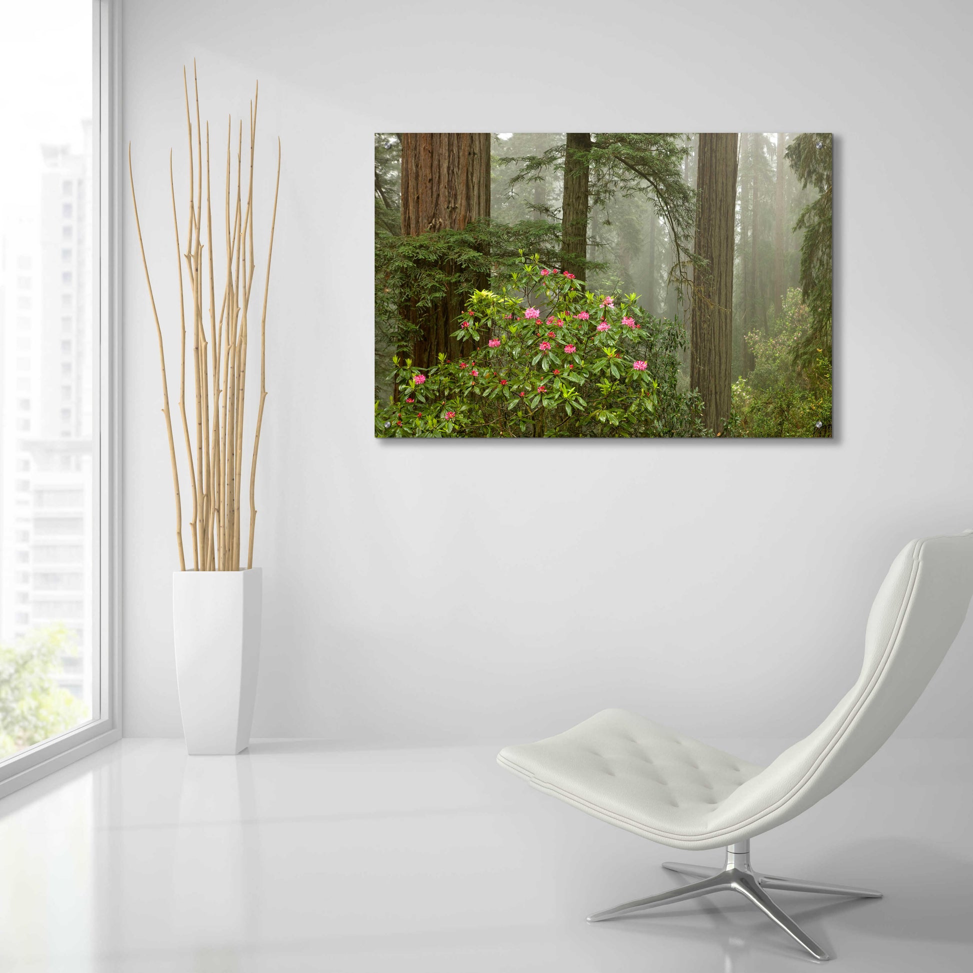 Epic Art 'Redwood Fog Rhododendrons' by Mike Jones, Acrylic Glass Wall Art,36x24