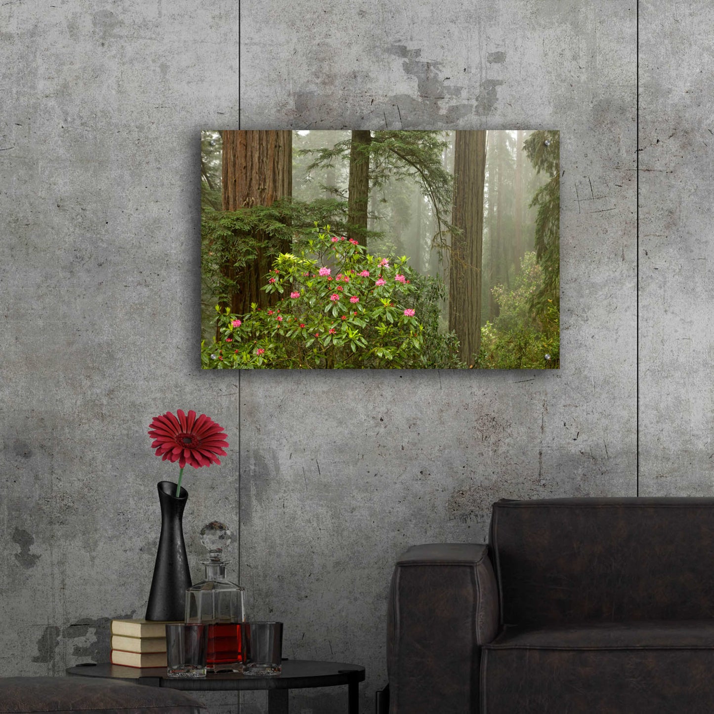 Epic Art 'Redwood Fog Rhododendrons' by Mike Jones, Acrylic Glass Wall Art,36x24