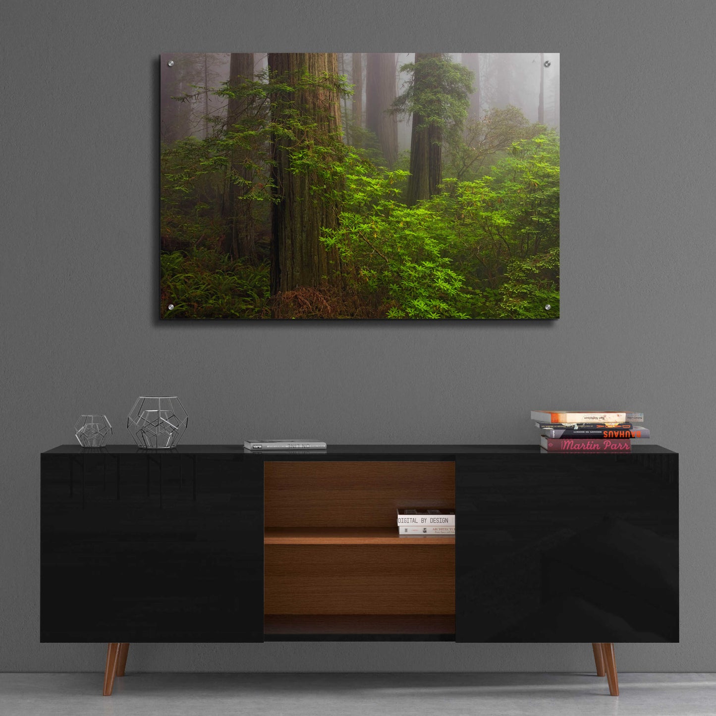 Epic Art 'Redwoods Fog' by Mike Jones, Acrylic Glass Wall Art,36x24