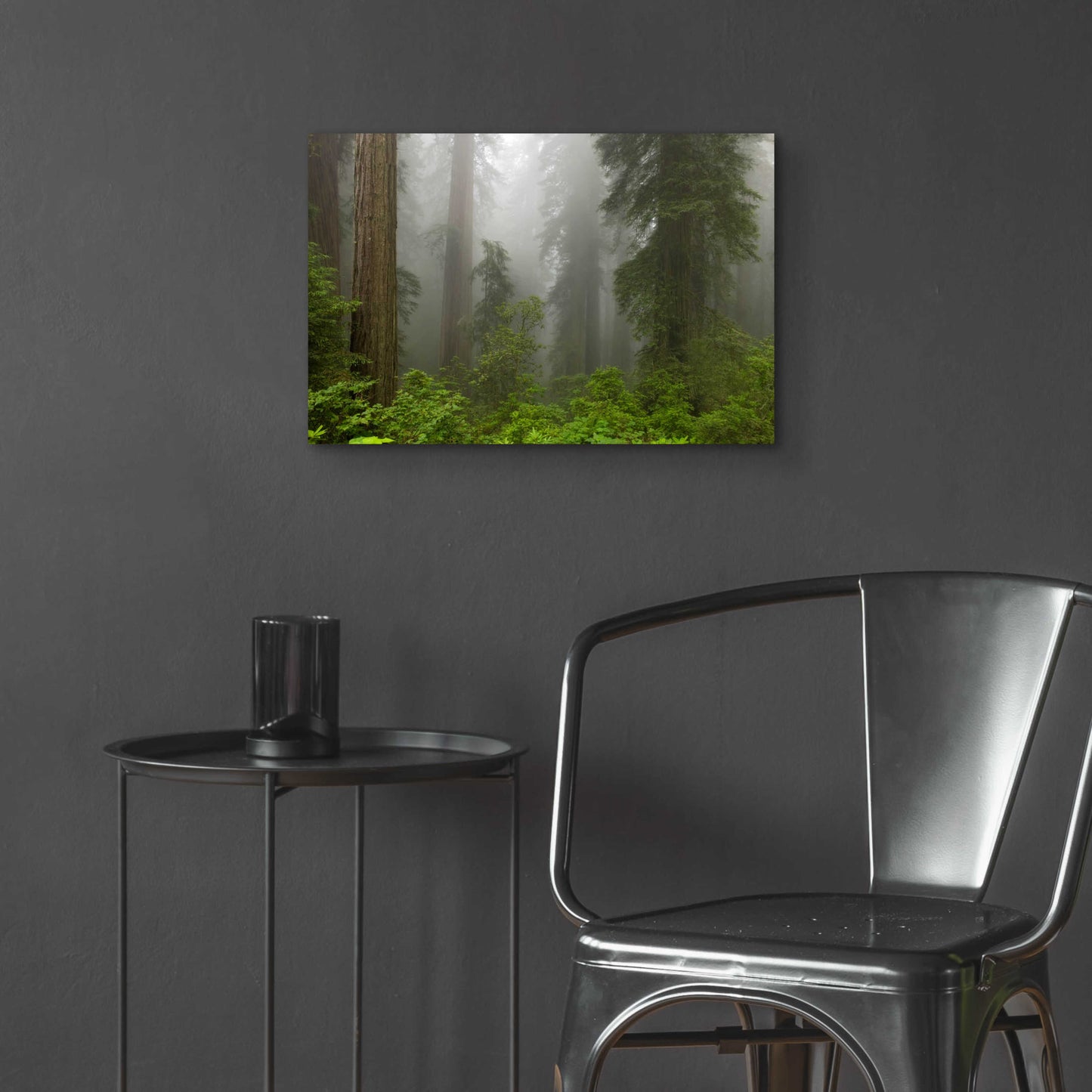 Epic Art 'Redwoods NP Fog' by Mike Jones, Acrylic Glass Wall Art,24x16