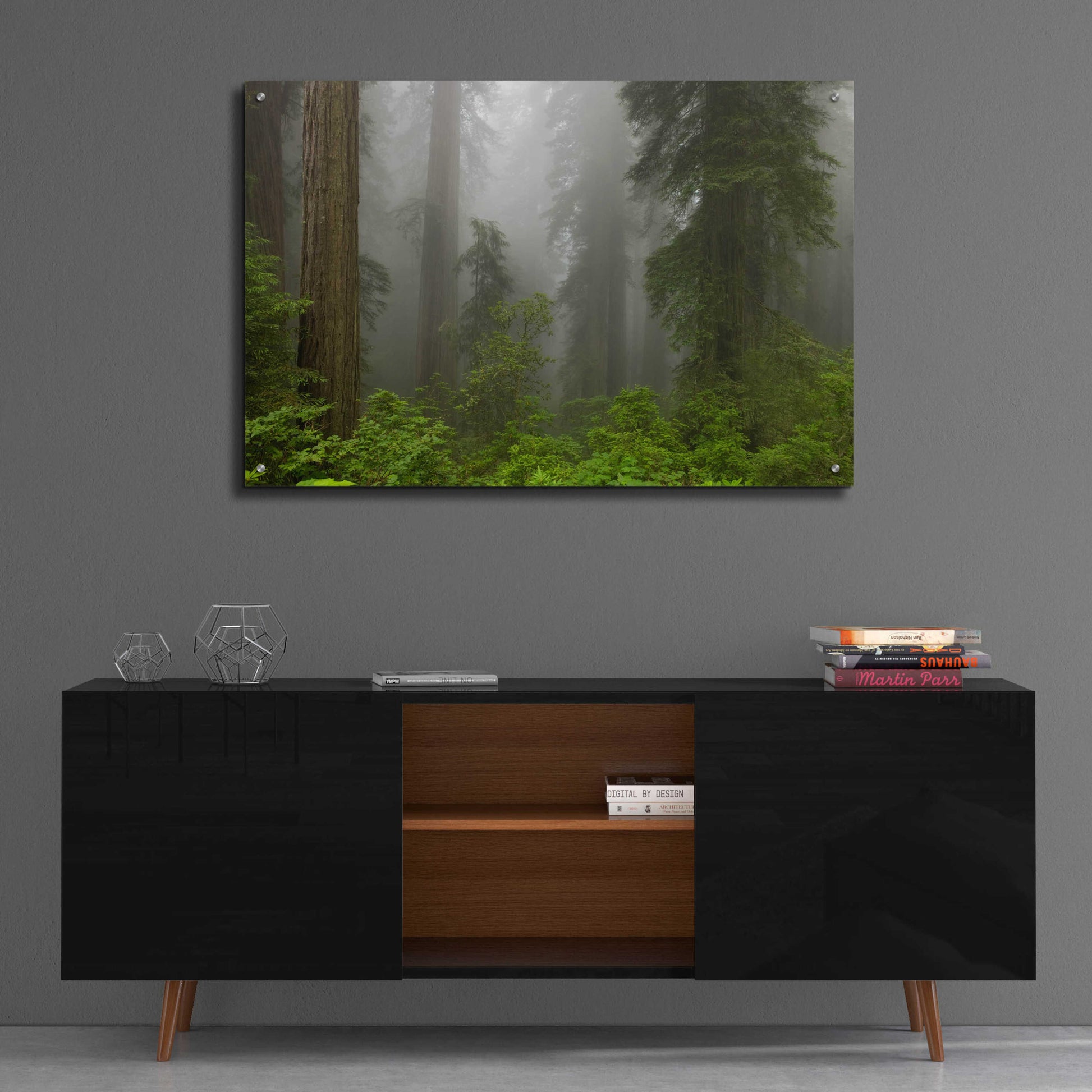 Epic Art 'Redwoods NP Fog' by Mike Jones, Acrylic Glass Wall Art,36x24