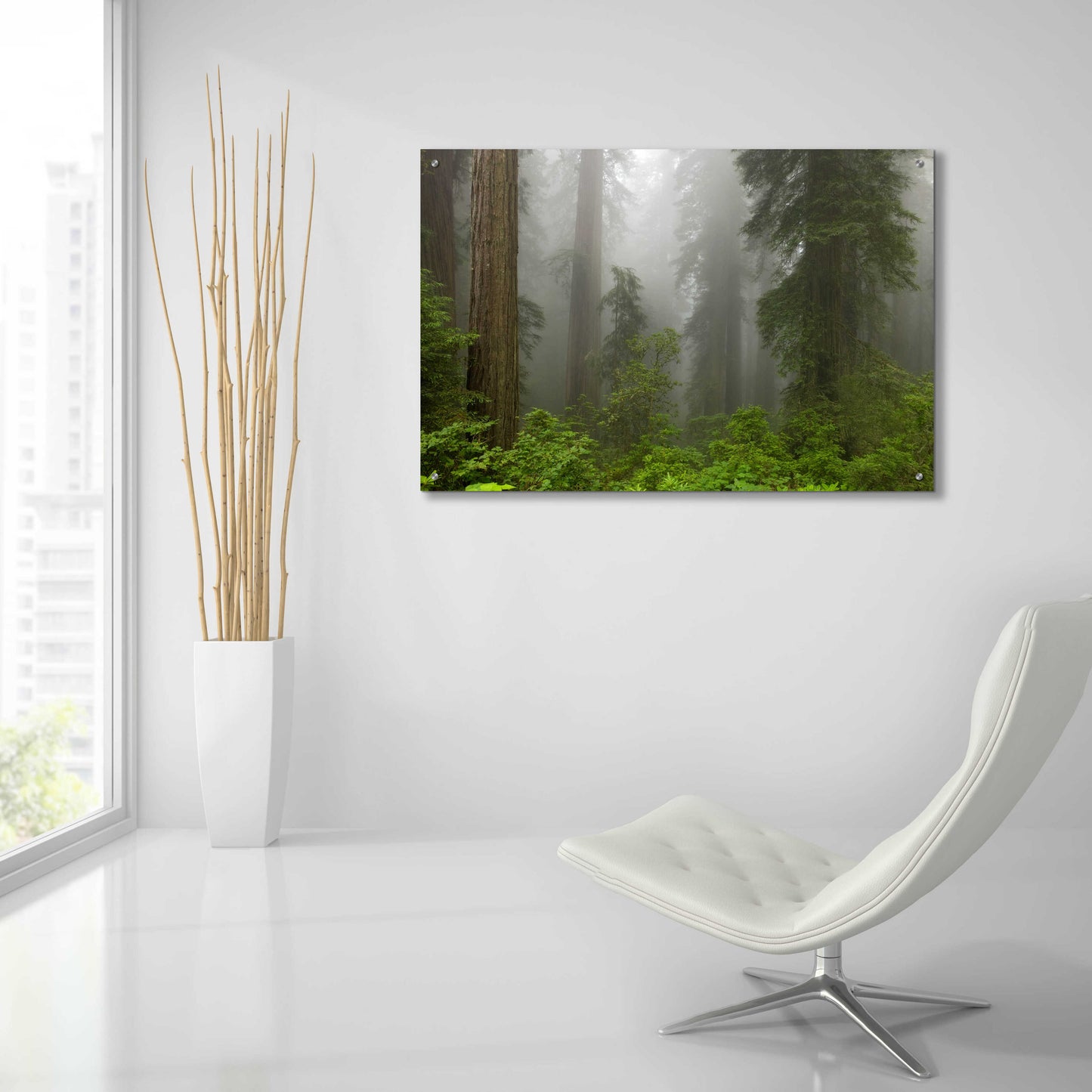 Epic Art 'Redwoods NP Fog' by Mike Jones, Acrylic Glass Wall Art,36x24