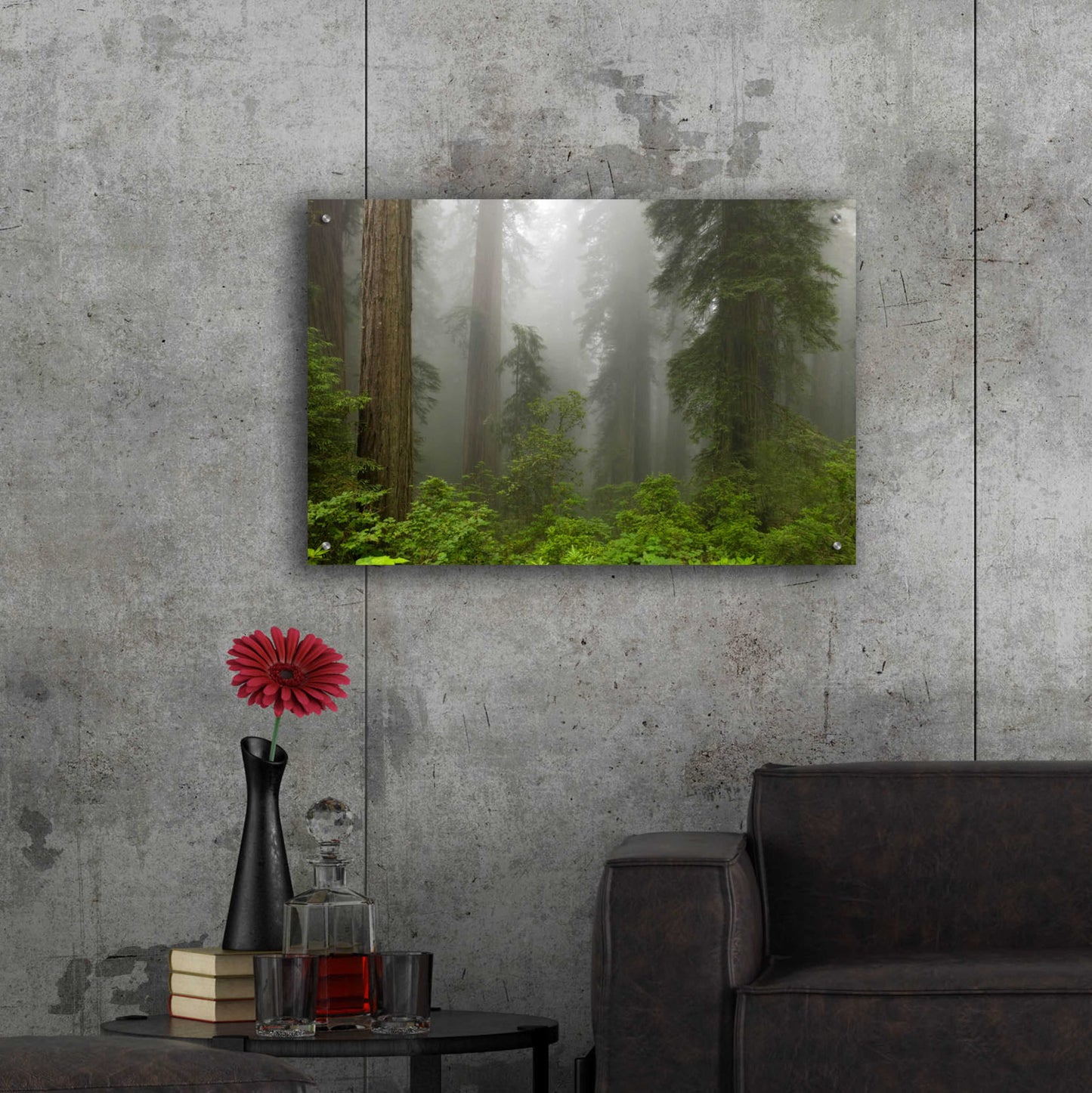 Epic Art 'Redwoods NP Fog' by Mike Jones, Acrylic Glass Wall Art,36x24