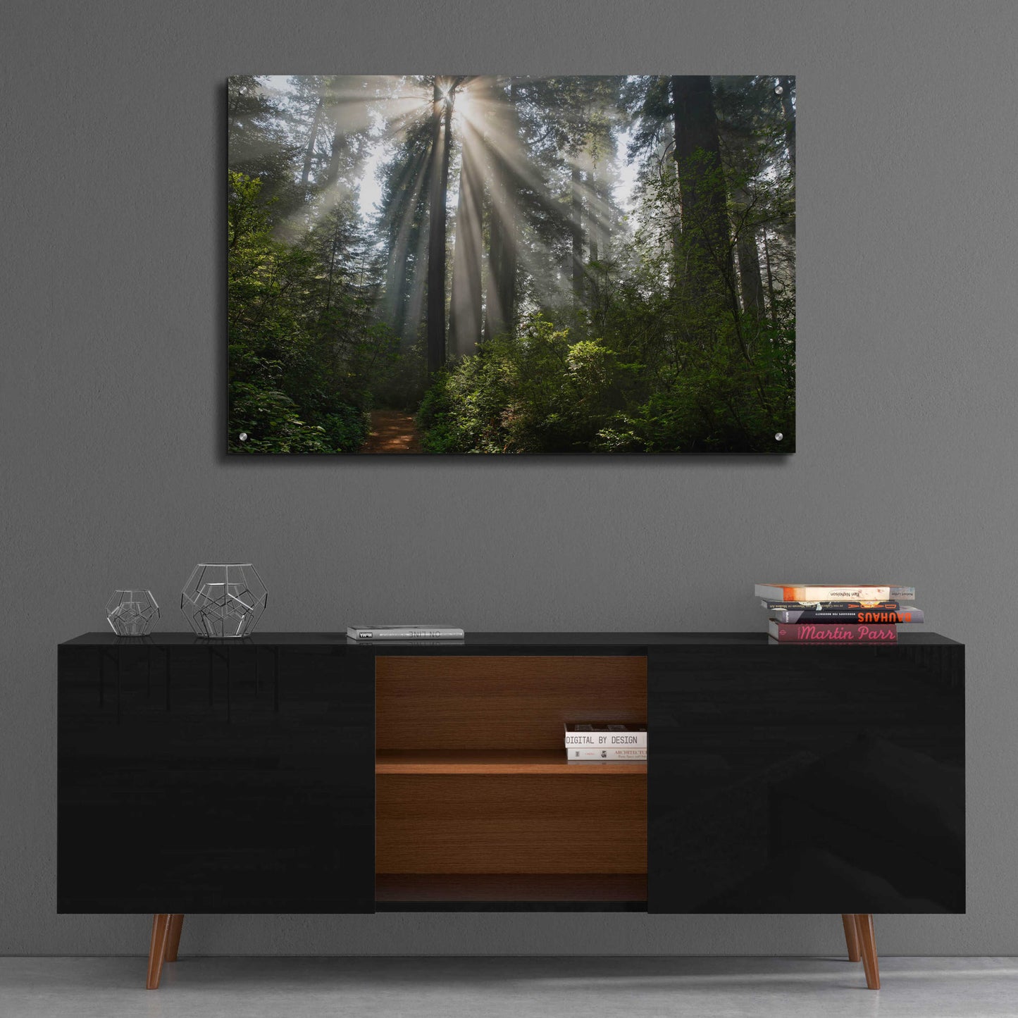 Epic Art 'Redwoods NP Ladybird Johnson Lightbeams' by Mike Jones, Acrylic Glass Wall Art,36x24