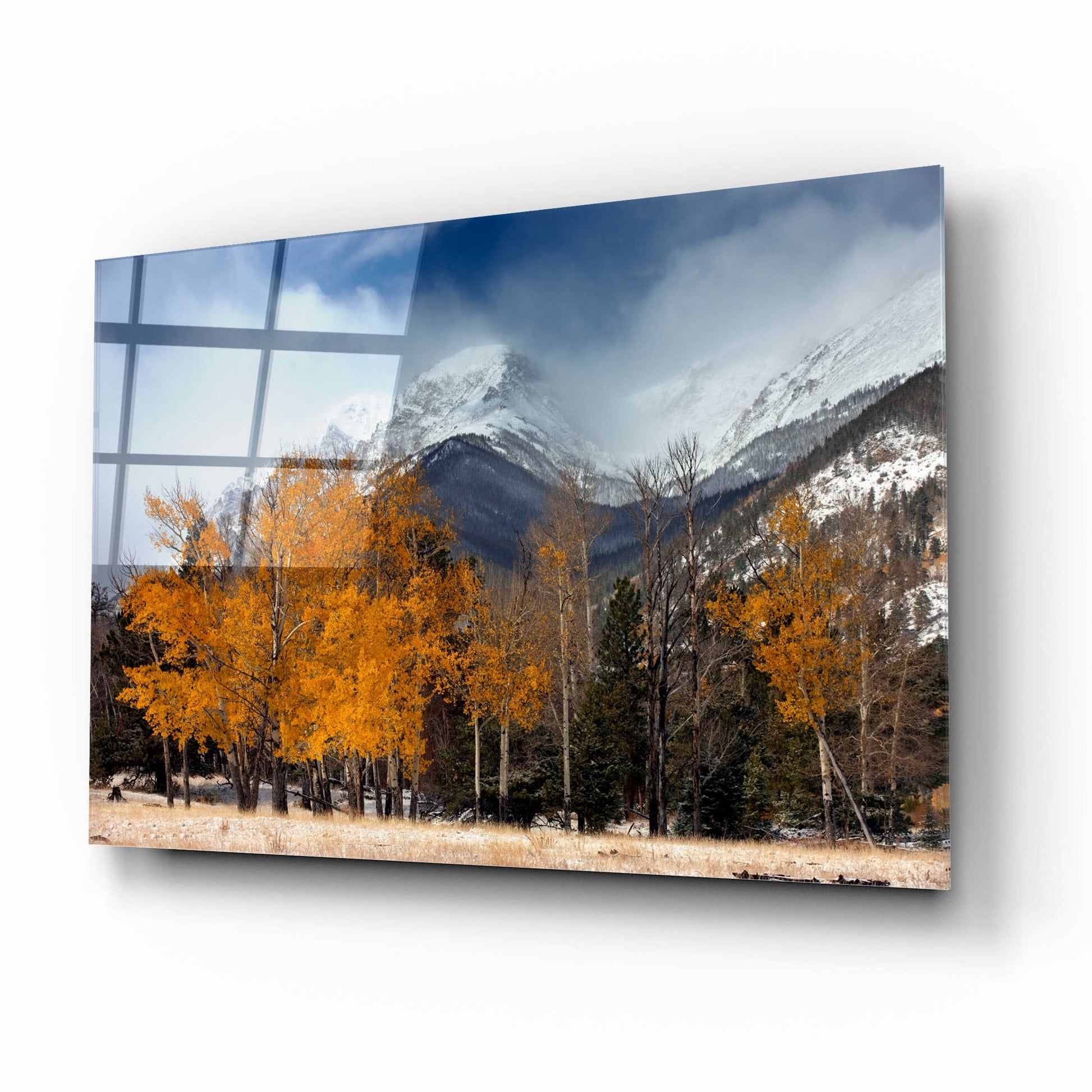 Epic Art 'RMNP Aspens and Storm Clouds' by Mike Jones, Acrylic Glass Wall Art,16x12