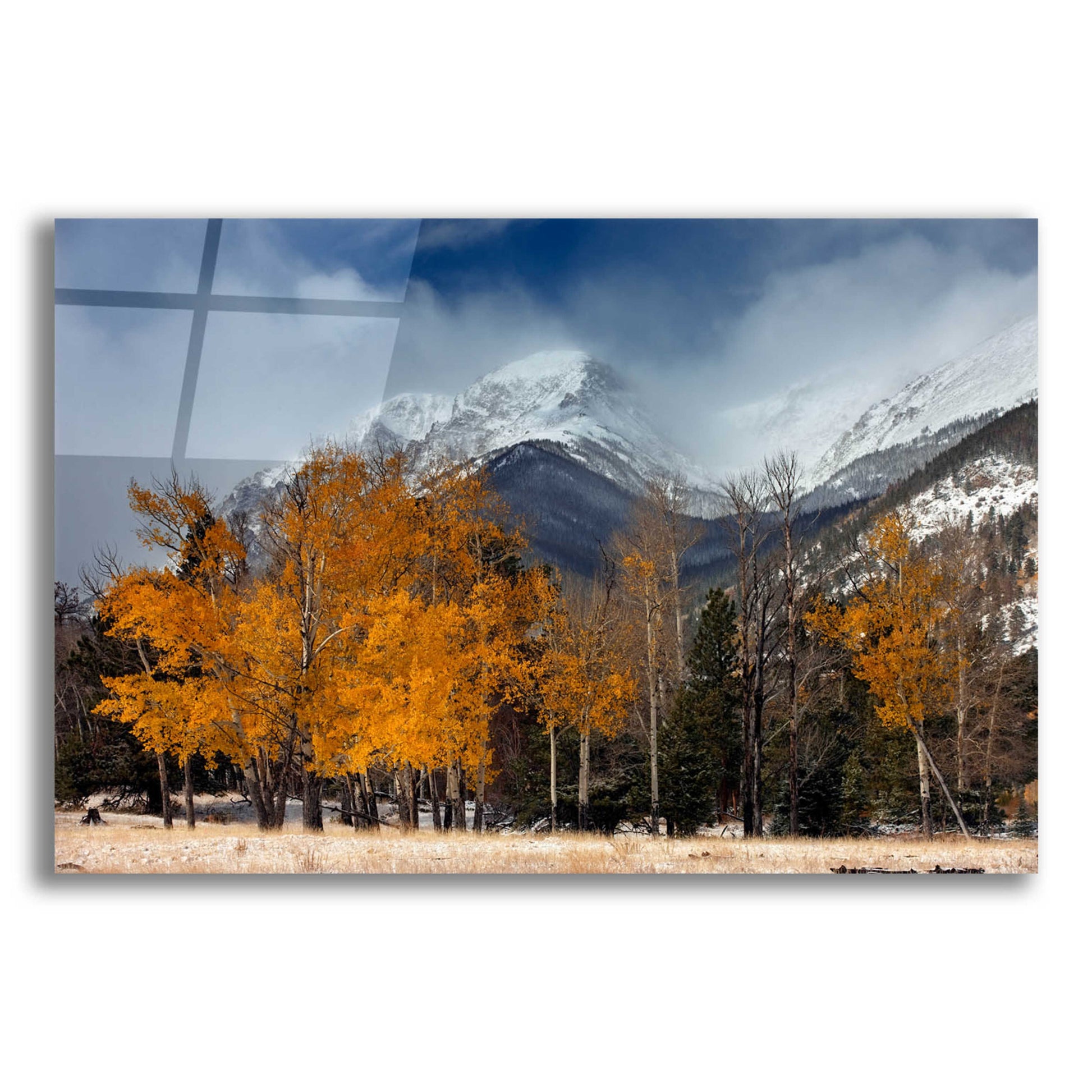 Epic Art 'RMNP Aspens and Storm Clouds' by Mike Jones, Acrylic Glass Wall Art,16x12