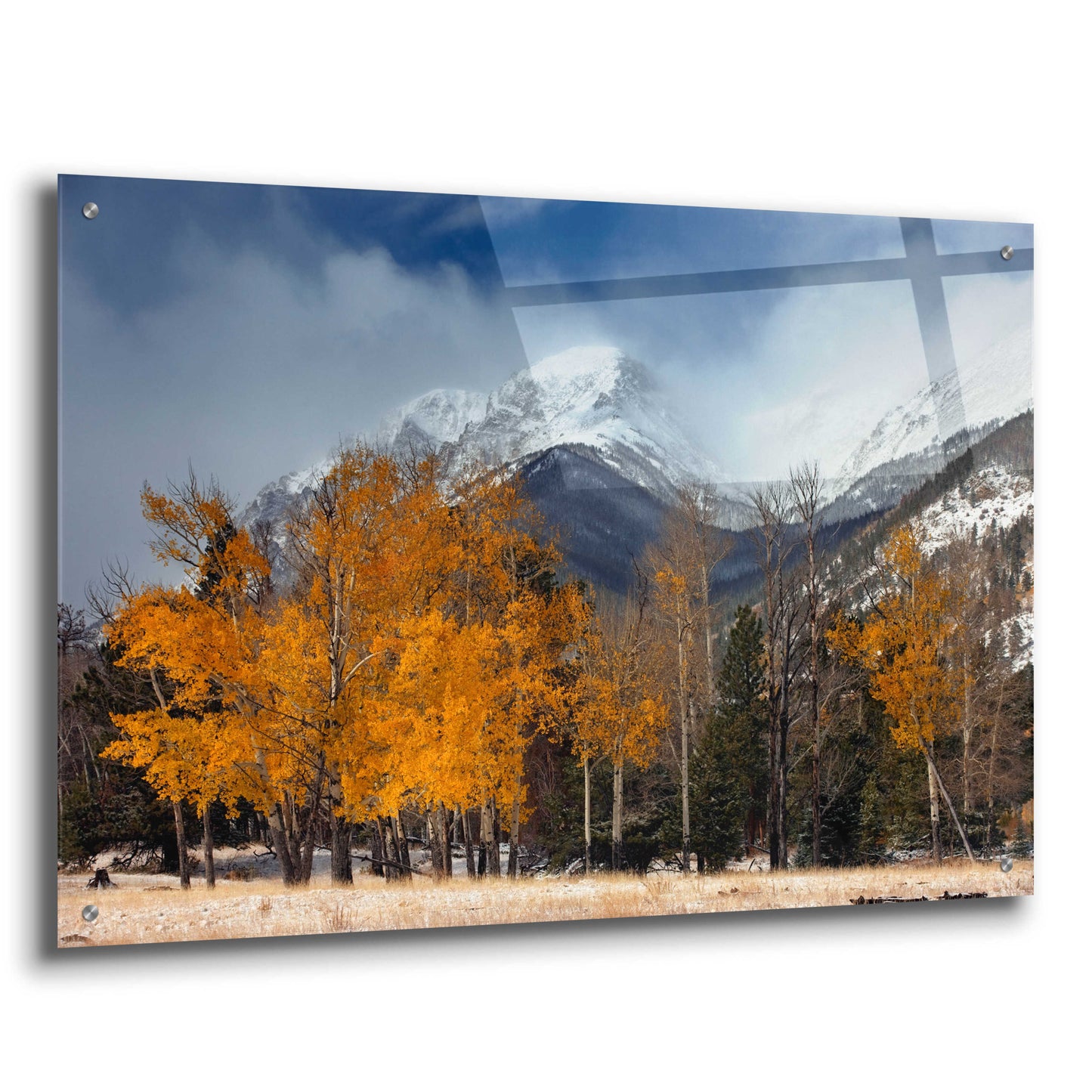 Epic Art 'RMNP Aspens and Storm Clouds' by Mike Jones, Acrylic Glass Wall Art,36x24