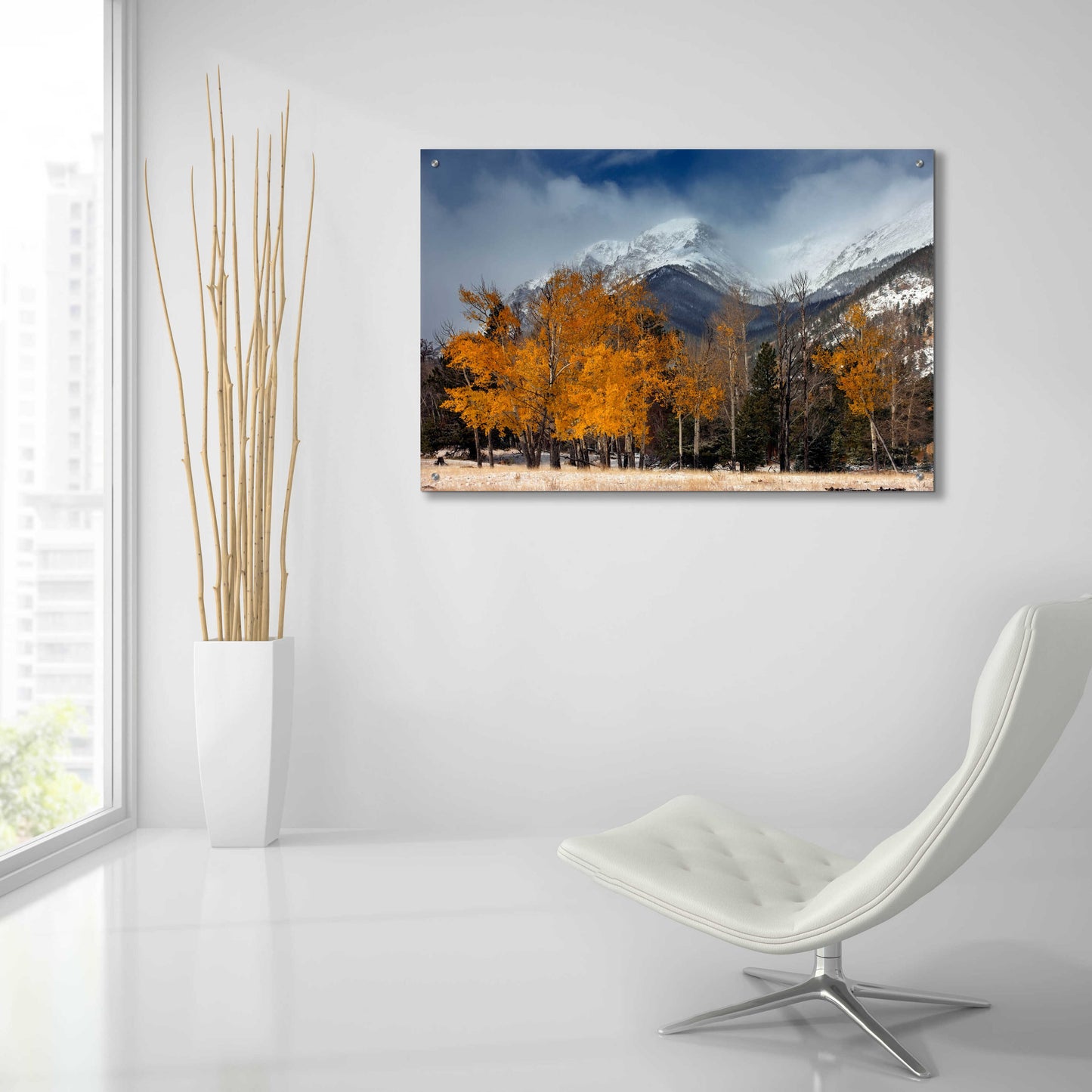 Epic Art 'RMNP Aspens and Storm Clouds' by Mike Jones, Acrylic Glass Wall Art,36x24