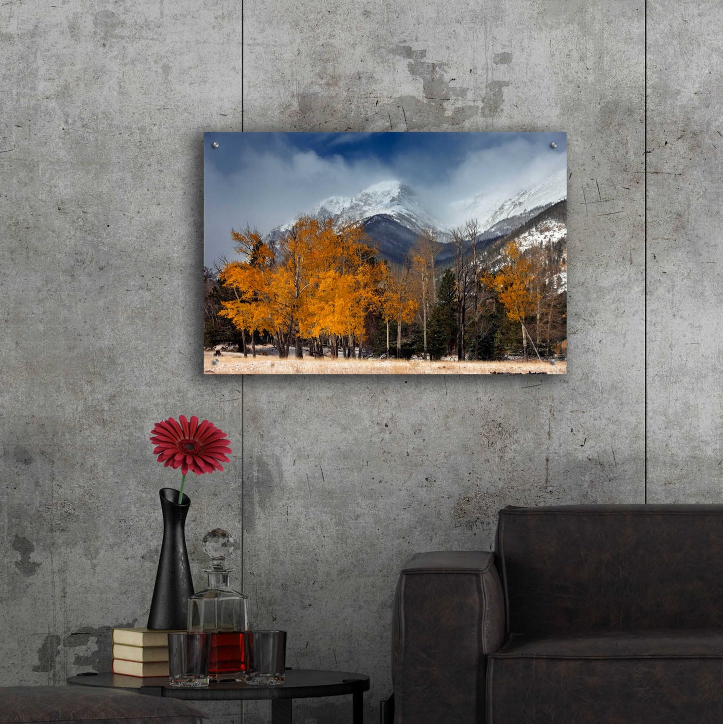 Epic Art 'RMNP Aspens and Storm Clouds' by Mike Jones, Acrylic Glass Wall Art,36x24