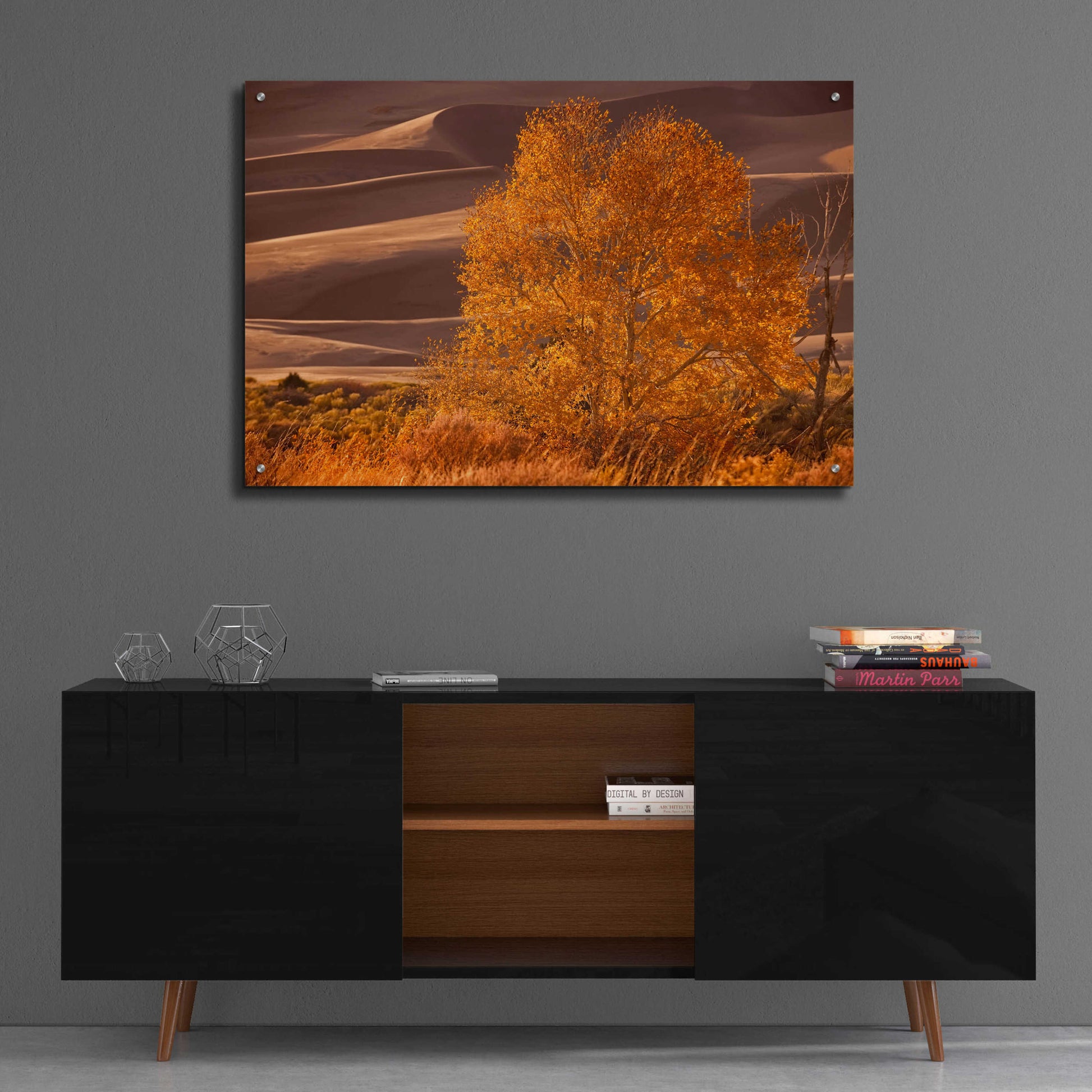 Epic Art 'Sand Dunes NP' by Mike Jones, Acrylic Glass Wall Art,36x24