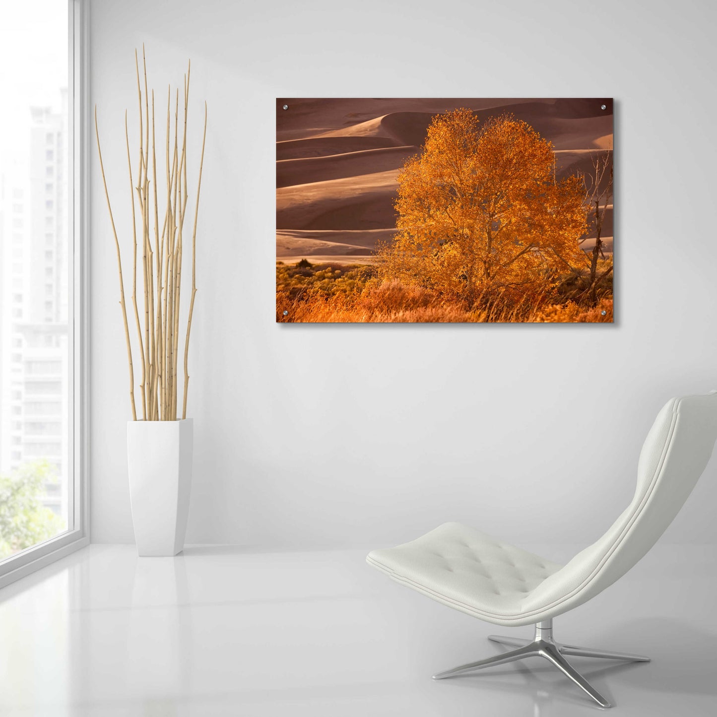 Epic Art 'Sand Dunes NP' by Mike Jones, Acrylic Glass Wall Art,36x24