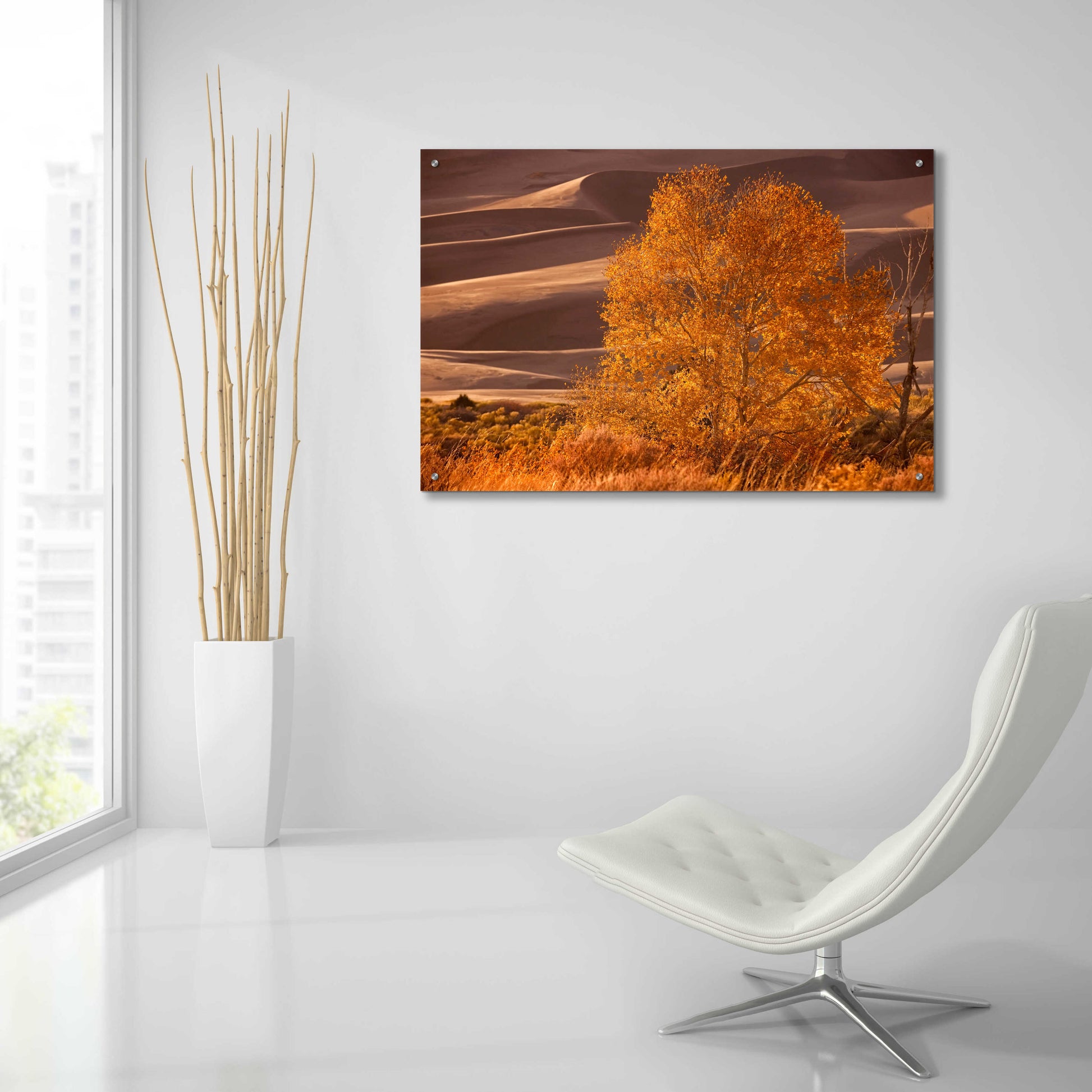 Epic Art 'Sand Dunes NP' by Mike Jones, Acrylic Glass Wall Art,36x24