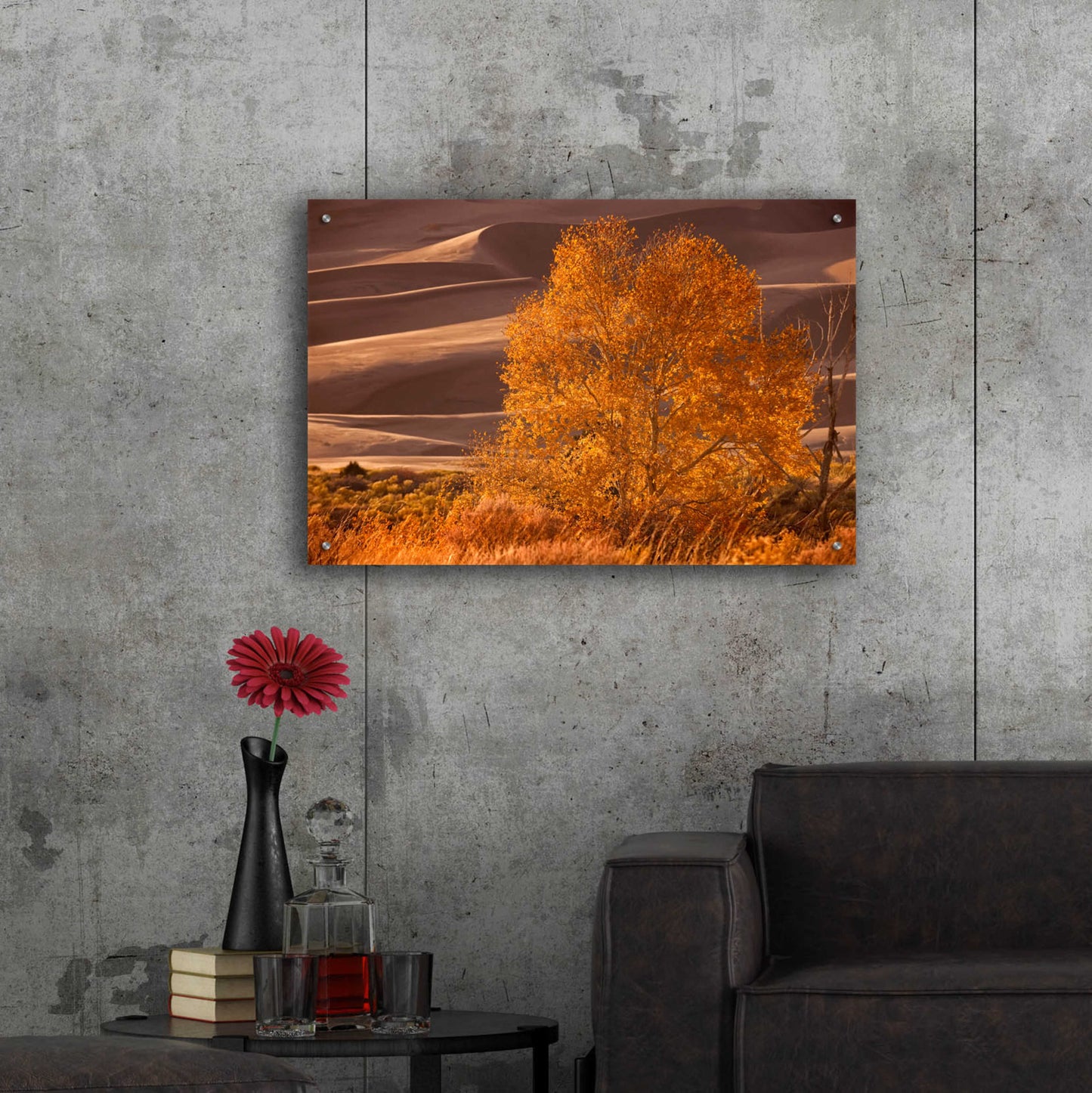 Epic Art 'Sand Dunes NP' by Mike Jones, Acrylic Glass Wall Art,36x24