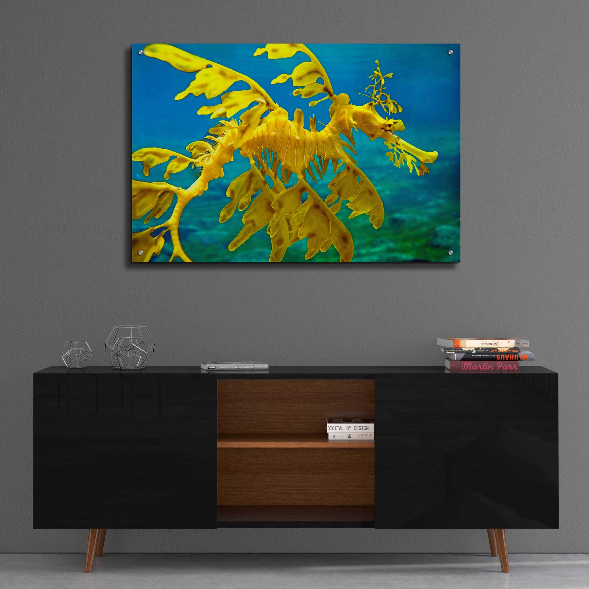 Epic Art 'Sea Dragon' by Mike Jones, Acrylic Glass Wall Art,36x24