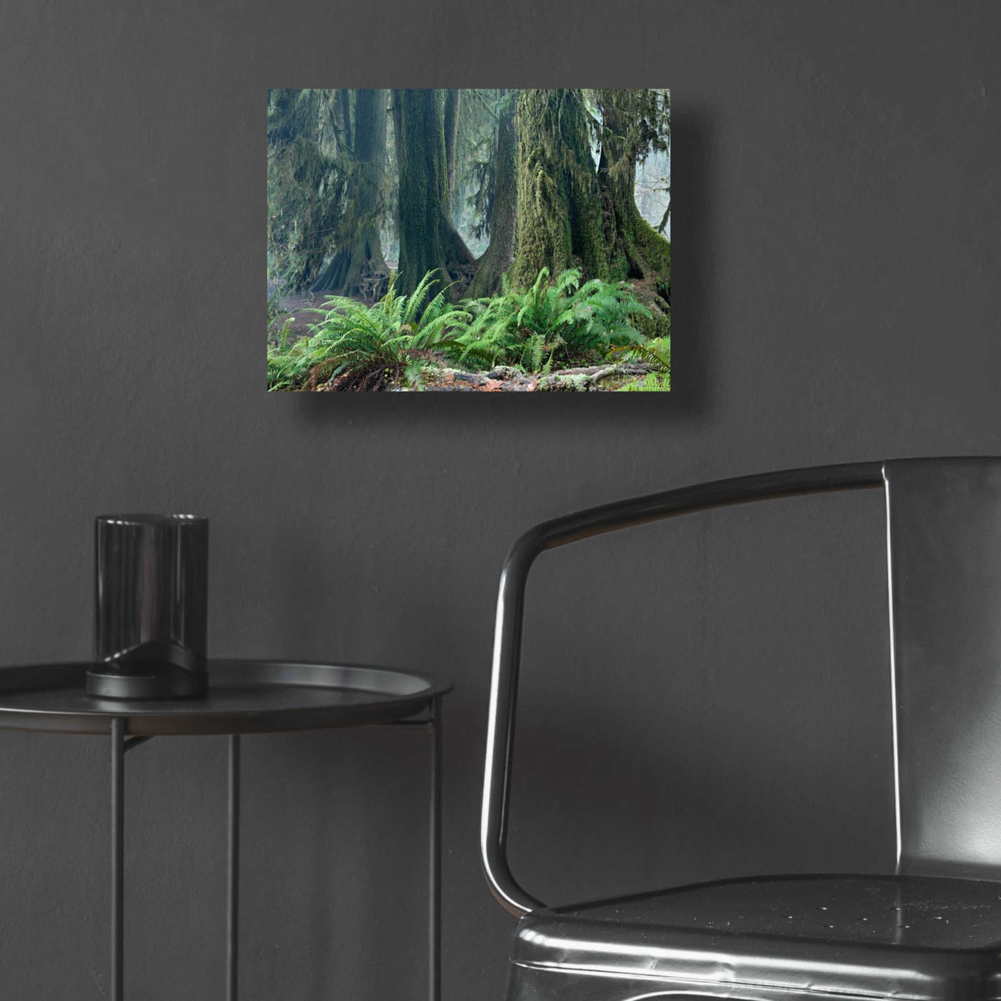 Epic Art 'Washington Olympic NP Foggy Ferns' by Mike Jones, Acrylic Glass Wall Art,16x12