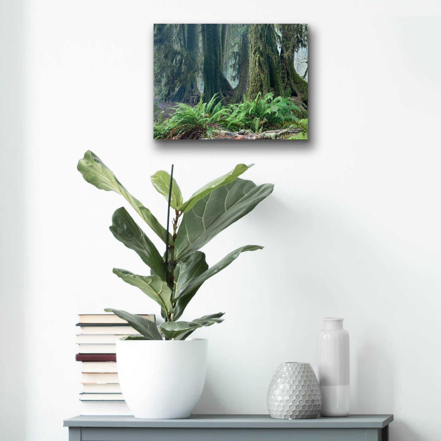 Epic Art 'Washington Olympic NP Foggy Ferns' by Mike Jones, Acrylic Glass Wall Art,16x12