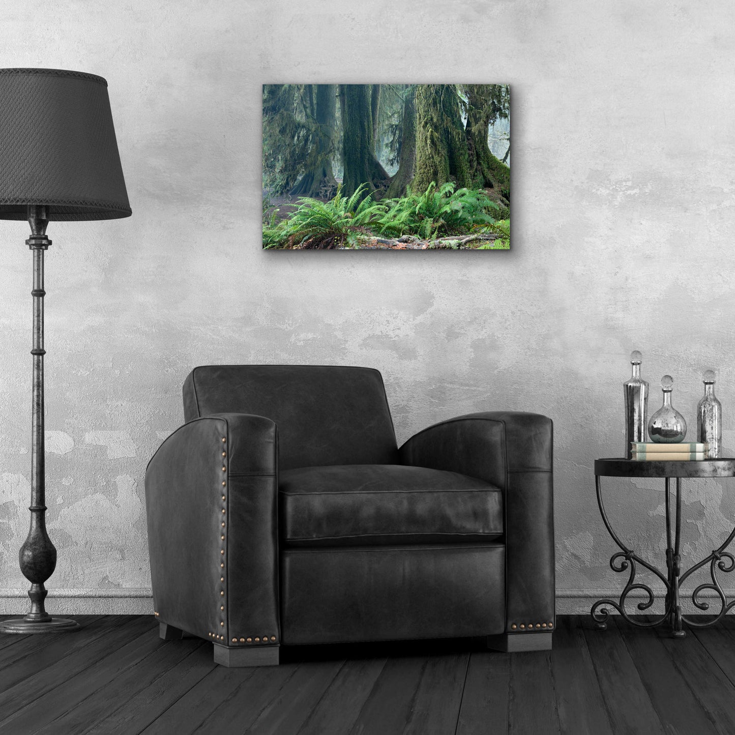 Epic Art 'Washington Olympic NP Foggy Ferns' by Mike Jones, Acrylic Glass Wall Art,24x16