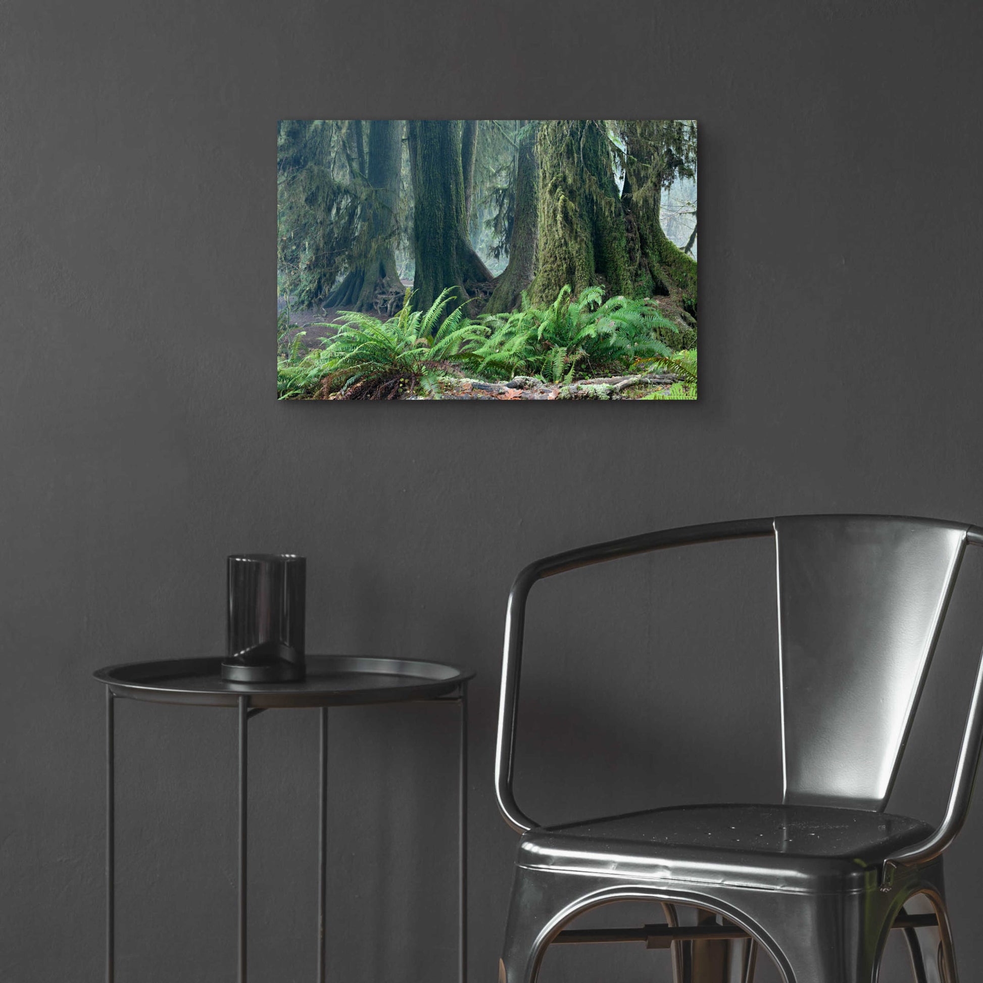 Epic Art 'Washington Olympic NP Foggy Ferns' by Mike Jones, Acrylic Glass Wall Art,24x16