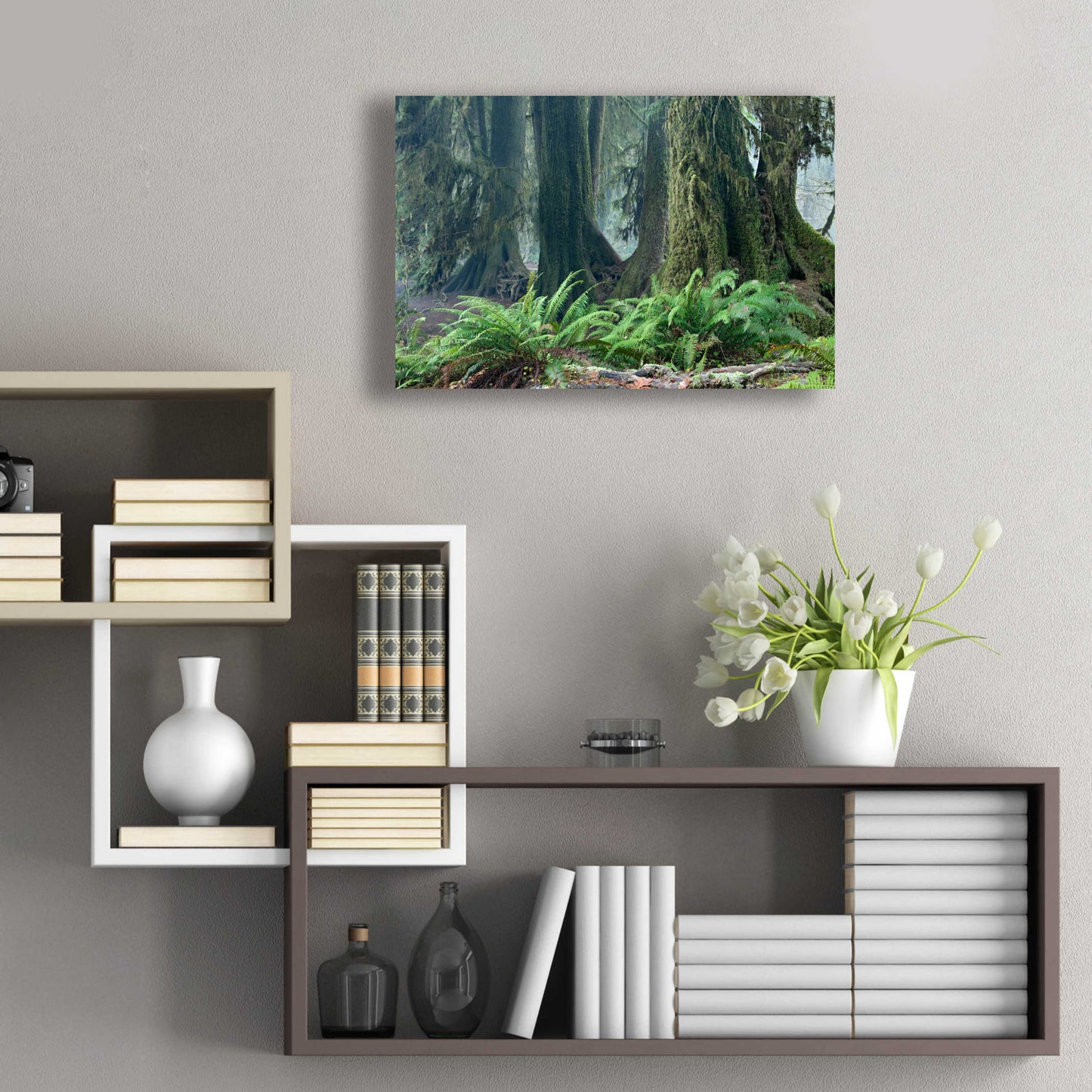 Epic Art 'Washington Olympic NP Foggy Ferns' by Mike Jones, Acrylic Glass Wall Art,24x16