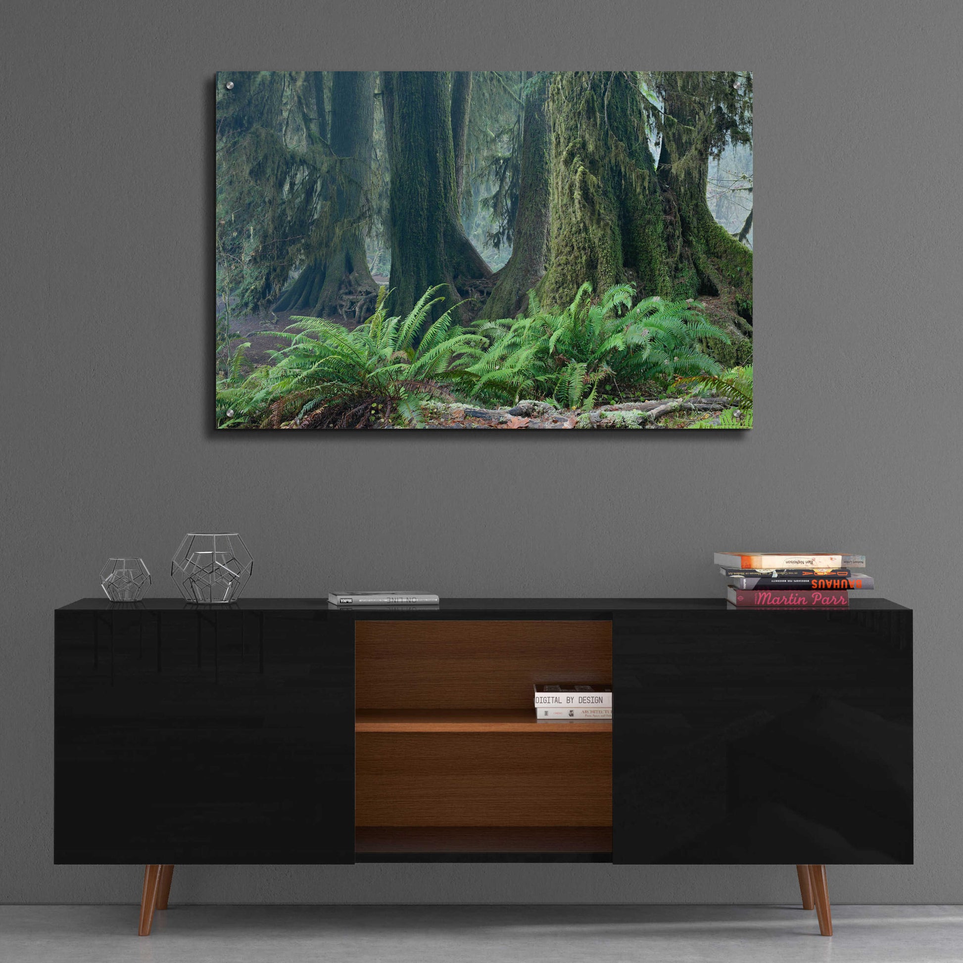 Epic Art 'Washington Olympic NP Foggy Ferns' by Mike Jones, Acrylic Glass Wall Art,36x24