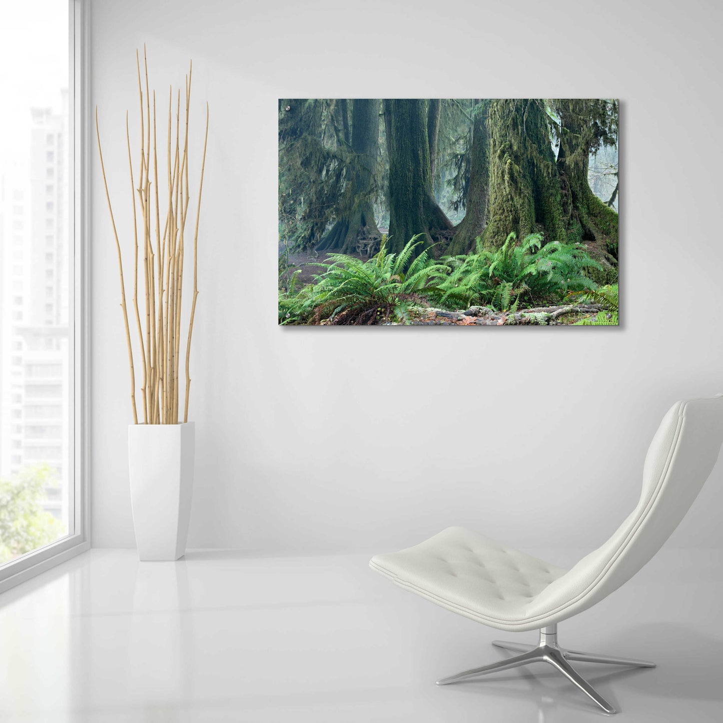 Epic Art 'Washington Olympic NP Foggy Ferns' by Mike Jones, Acrylic Glass Wall Art,36x24