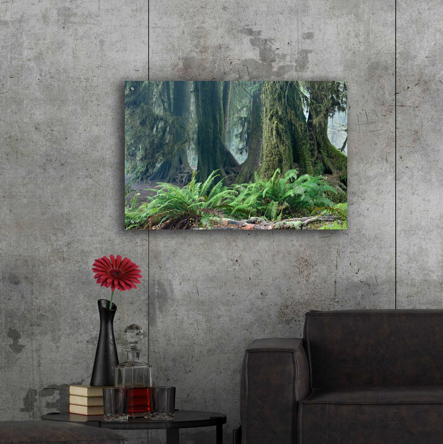 Epic Art 'Washington Olympic NP Foggy Ferns' by Mike Jones, Acrylic Glass Wall Art,36x24