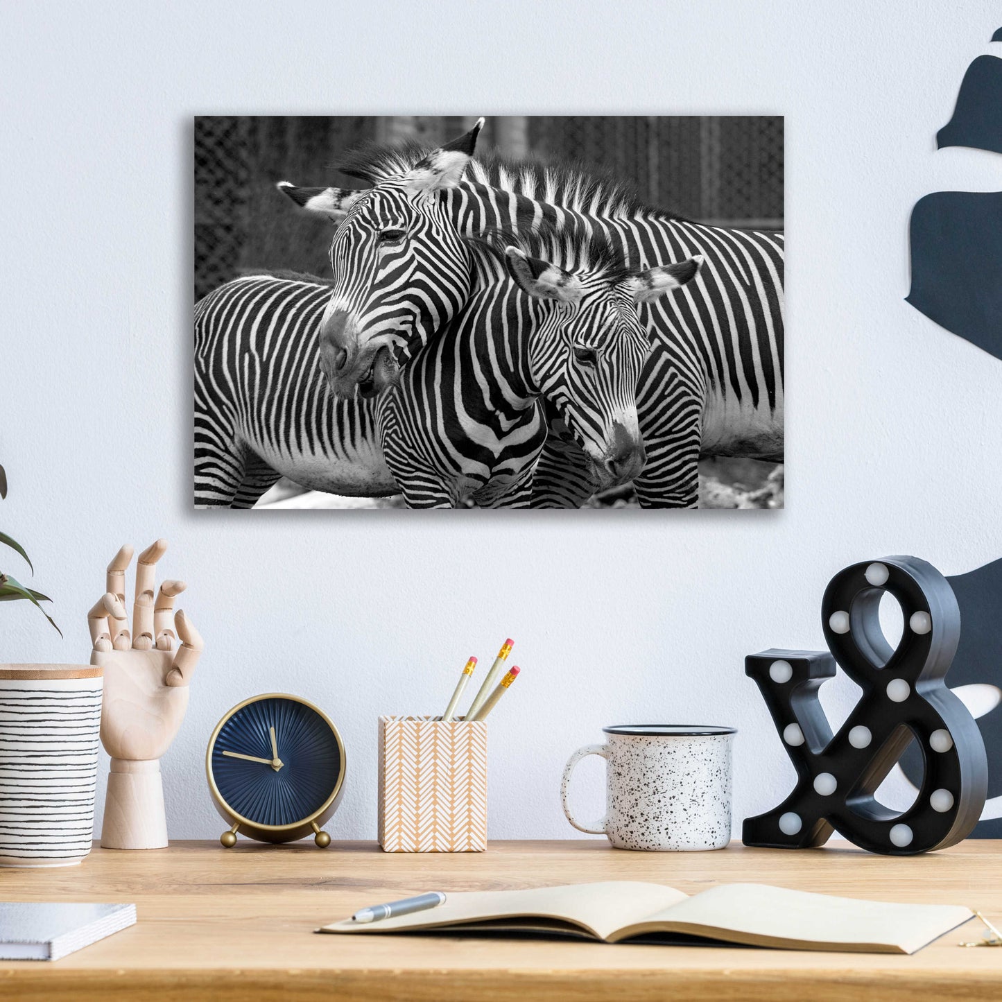 Epic Art 'Zebras' by Mike Jones, Acrylic Glass Wall Art,16x12