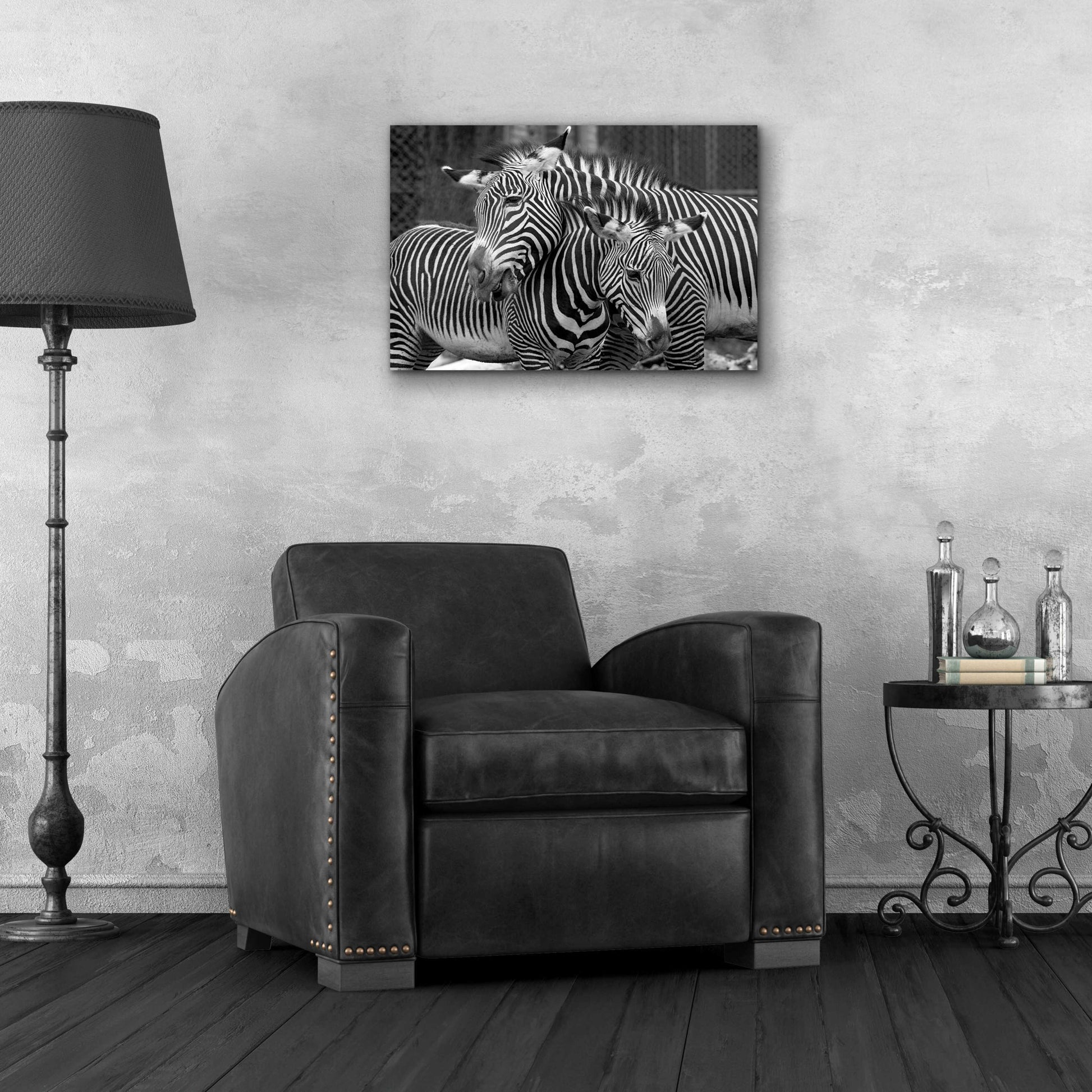 Epic Art 'Zebras' by Mike Jones, Acrylic Glass Wall Art,24x16