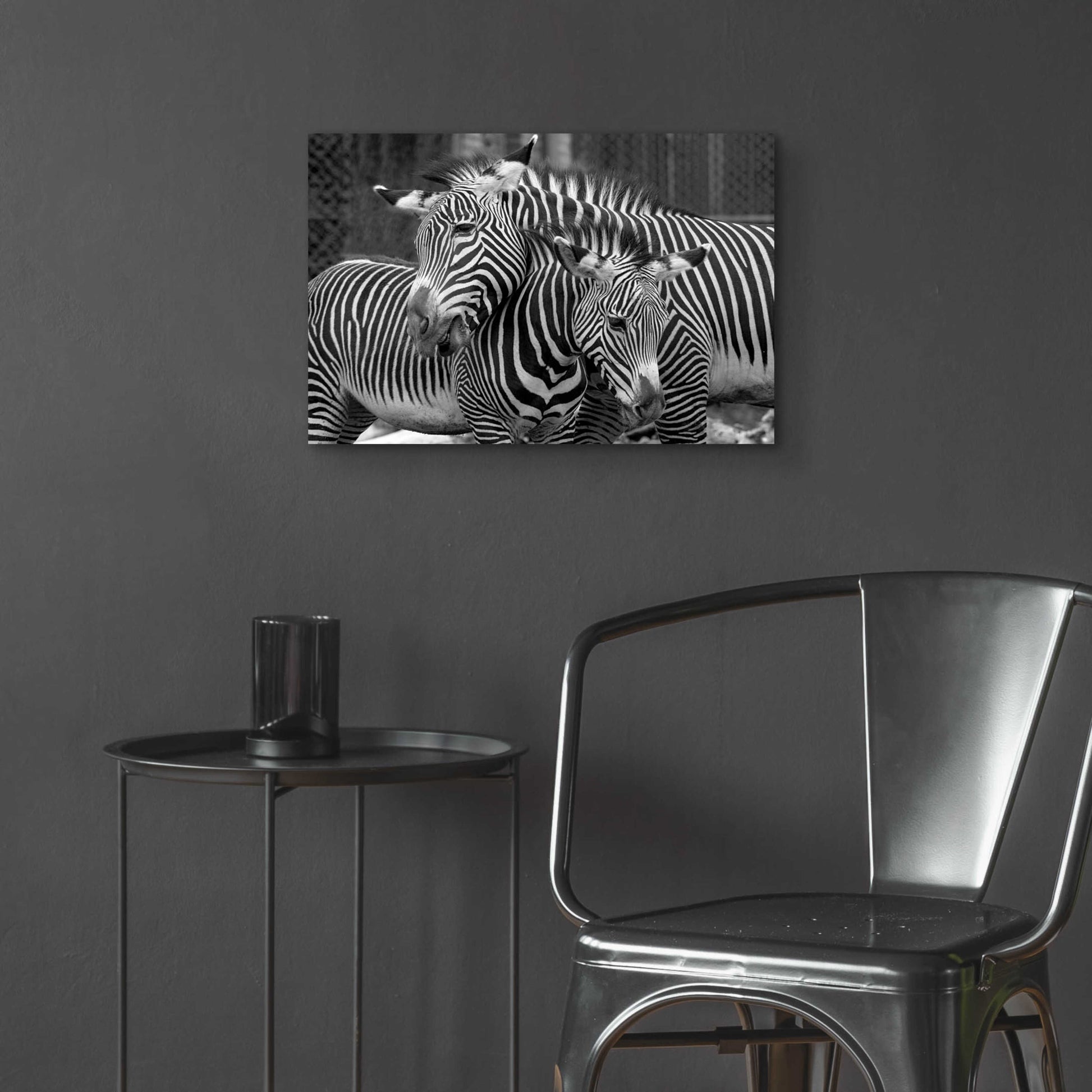 Epic Art 'Zebras' by Mike Jones, Acrylic Glass Wall Art,24x16