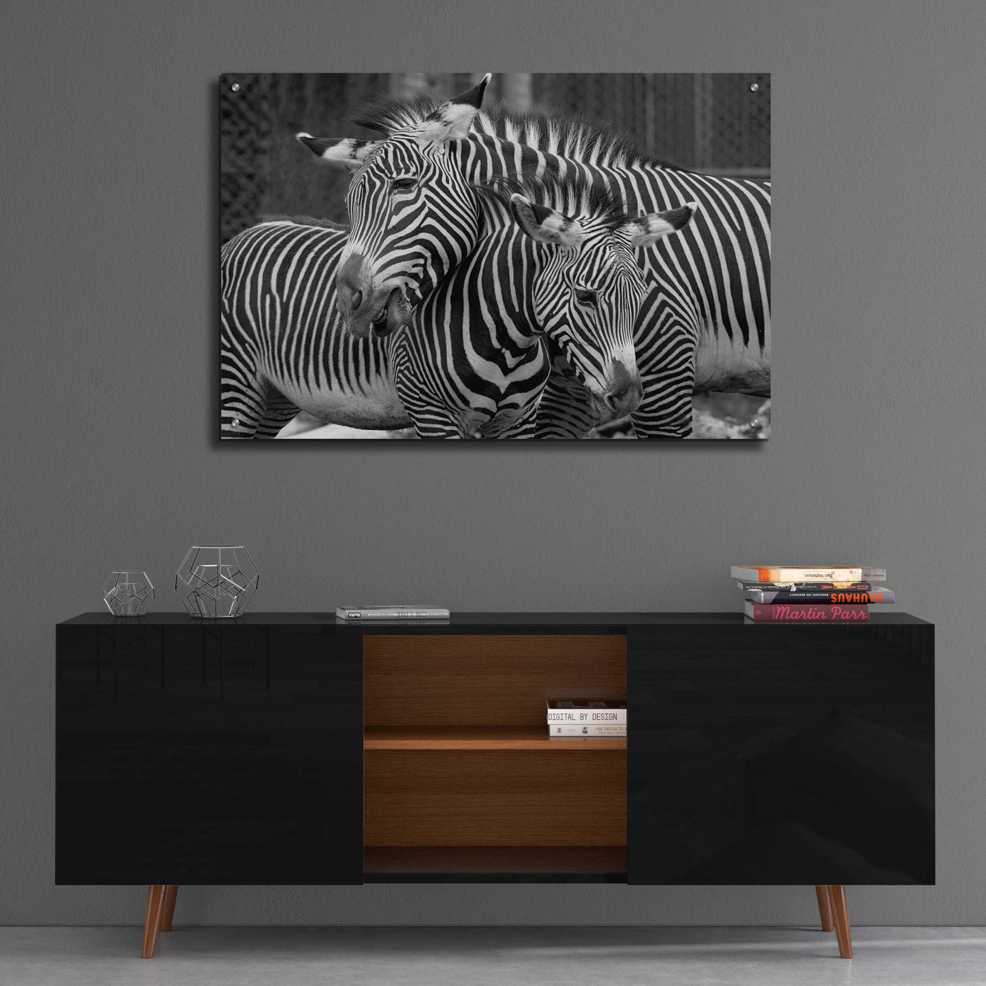 Epic Art 'Zebras' by Mike Jones, Acrylic Glass Wall Art,36x24