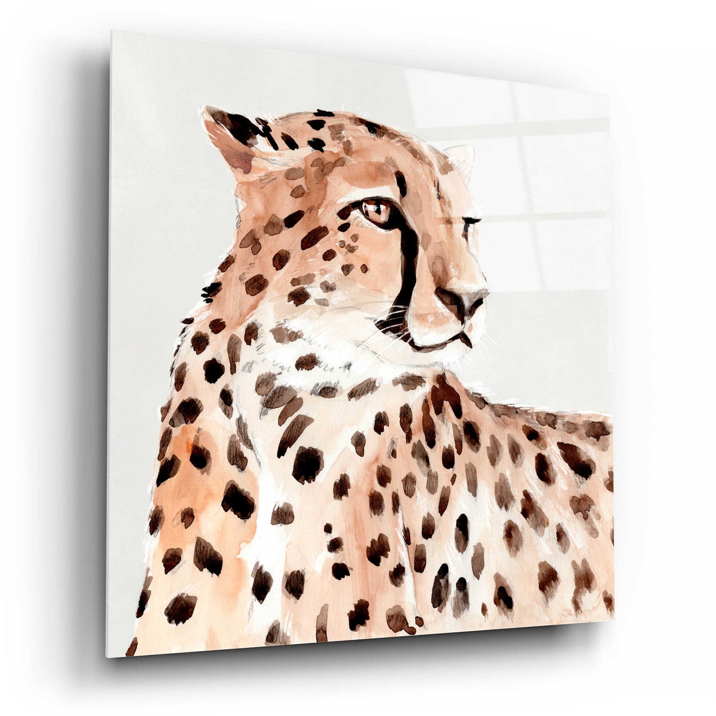 Epic Art 'Saharan Cheetah I' by Annie Warren, Acrylic Glass Wall Art,12x12